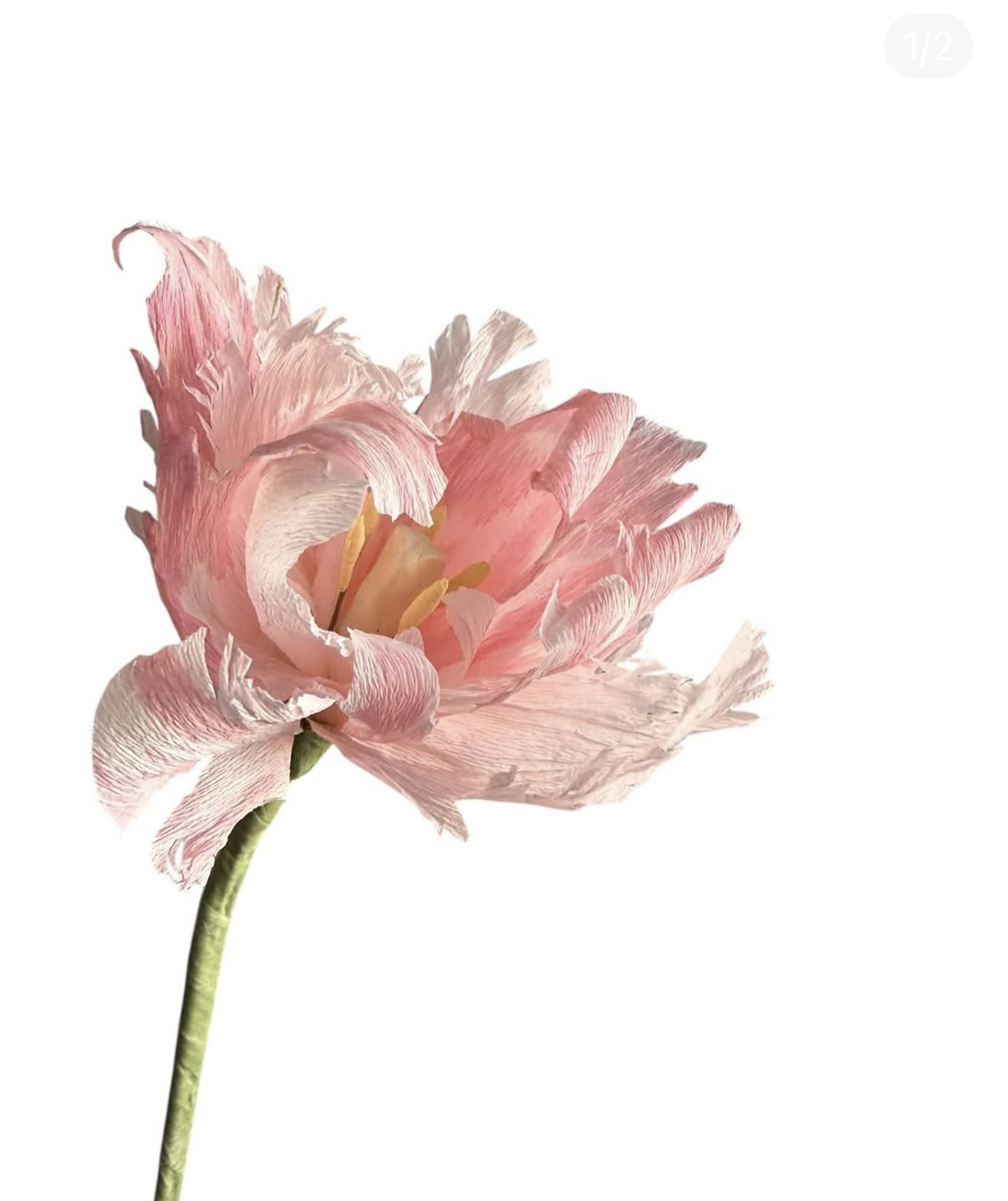 Flower Making Workshop & Wine Tasting 