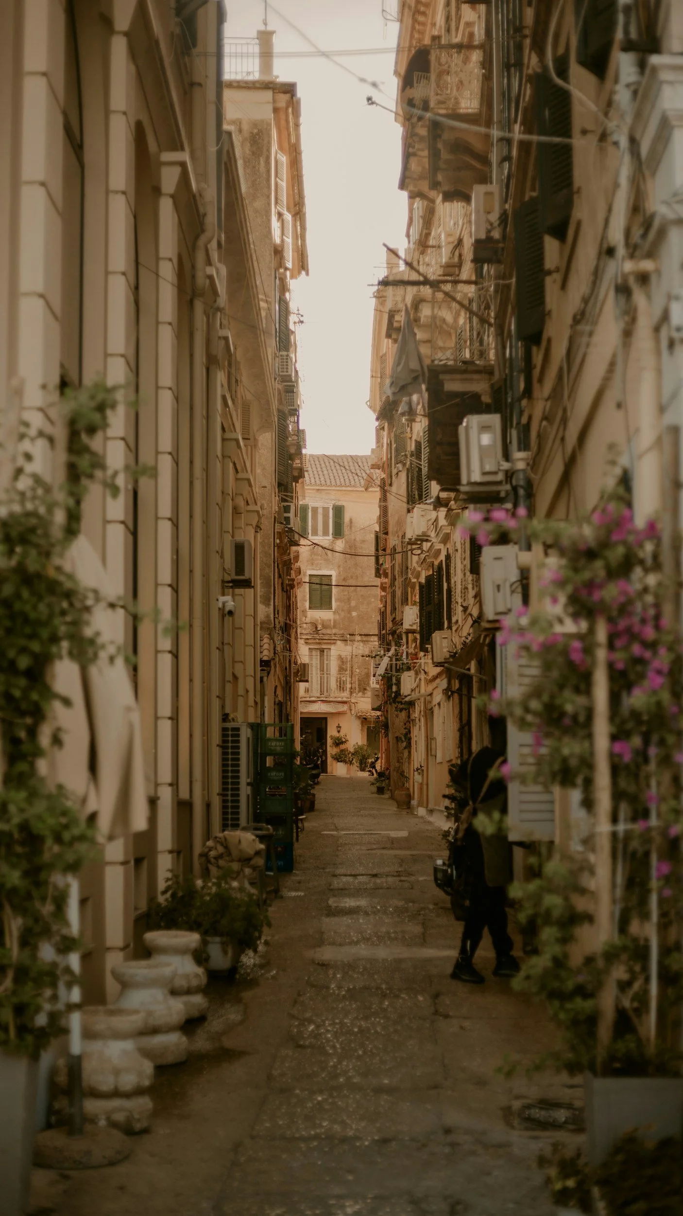 A foggy forest scene with tall pine trees and patches of snow on the ground.