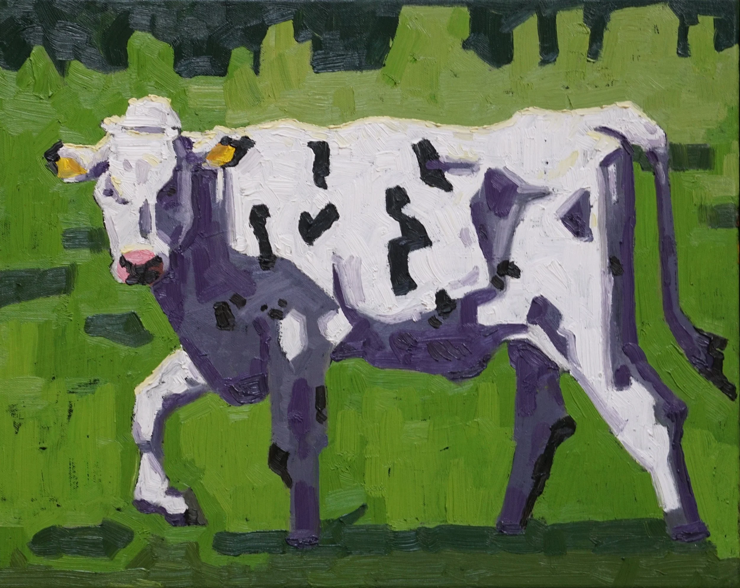 Koe (2026), olieverf op doek, 40 x 50 cm