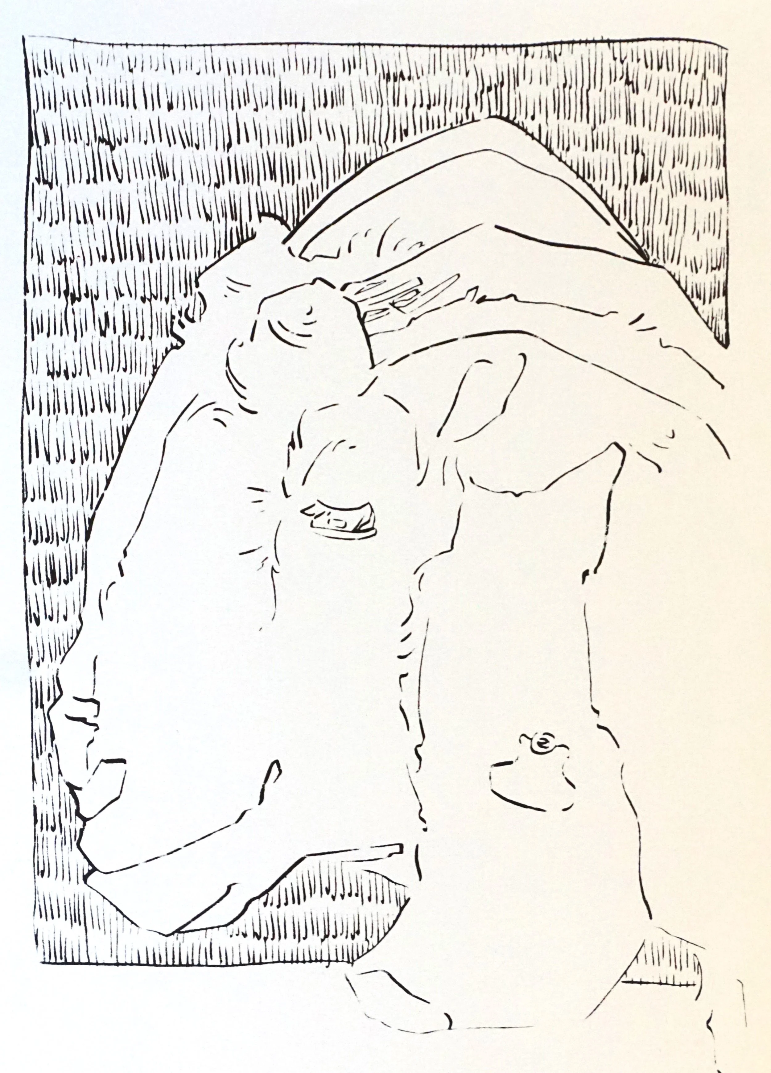 Witte geit (2025), zeefdruk, 27 x 19 cm, oplage:  17