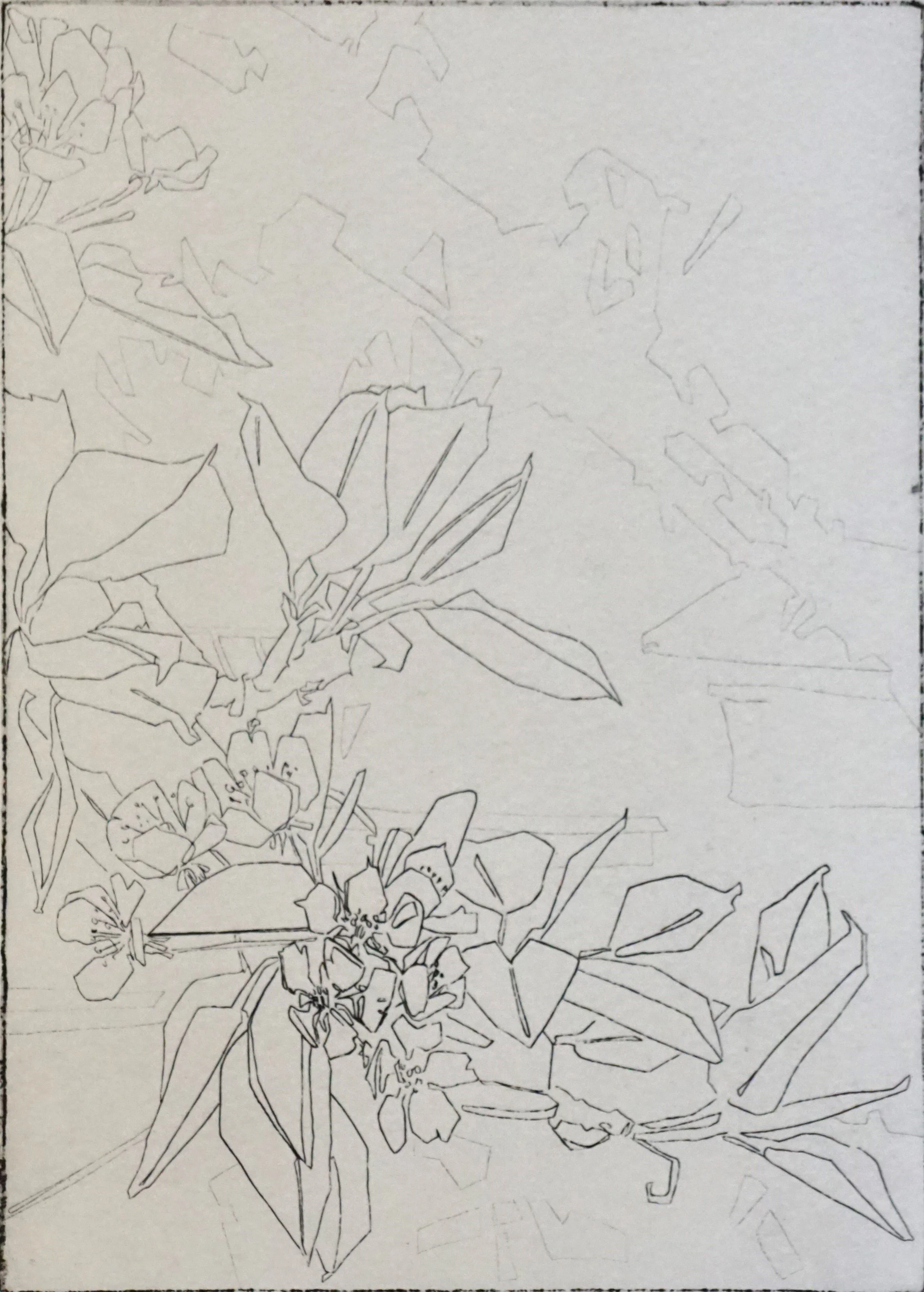 Perenbloesem I (2026), ets, 18 x 13 cm, oplage: 6