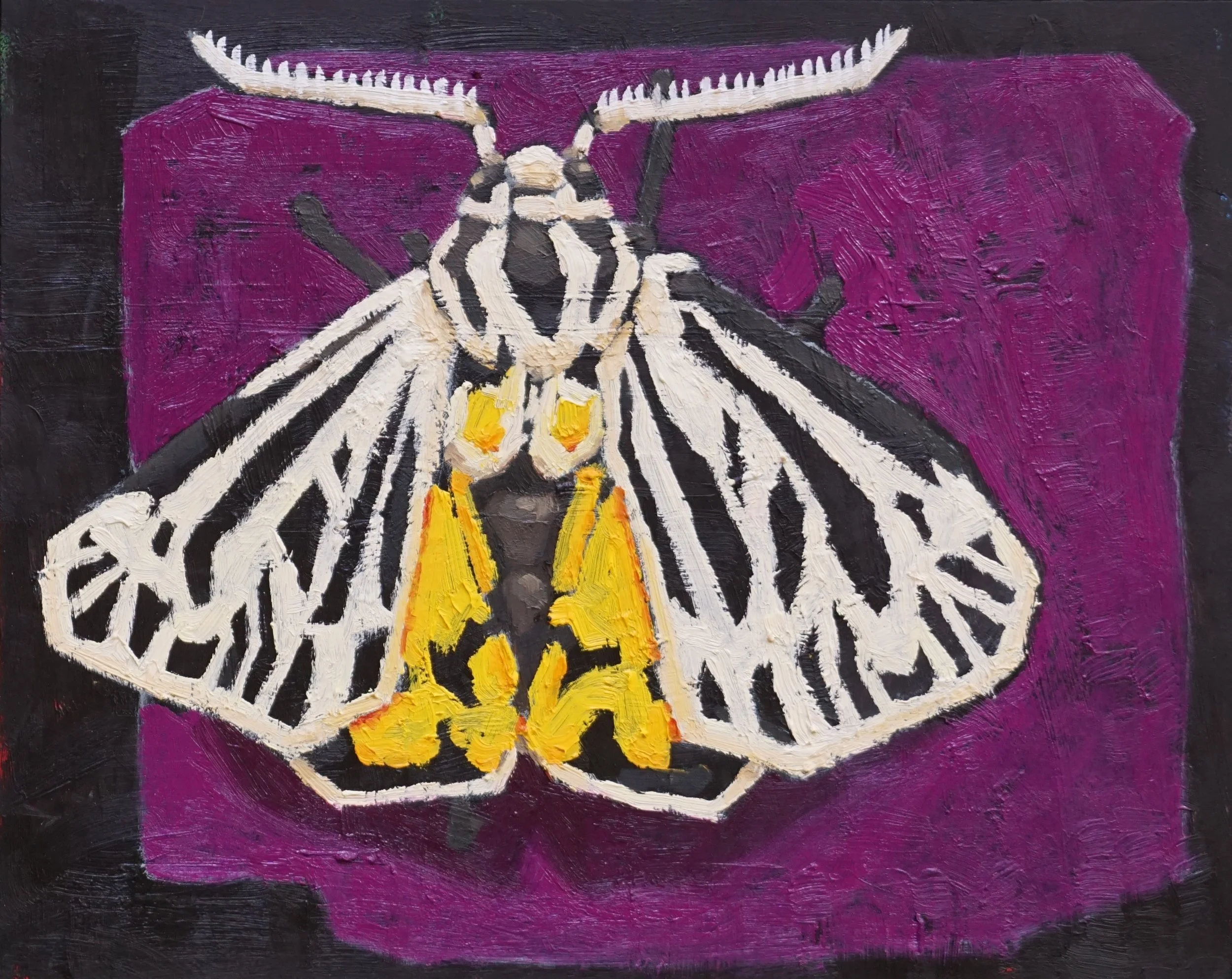 Nachtvlinder (2025), olieverf op paneel, 24 x 30 cm
