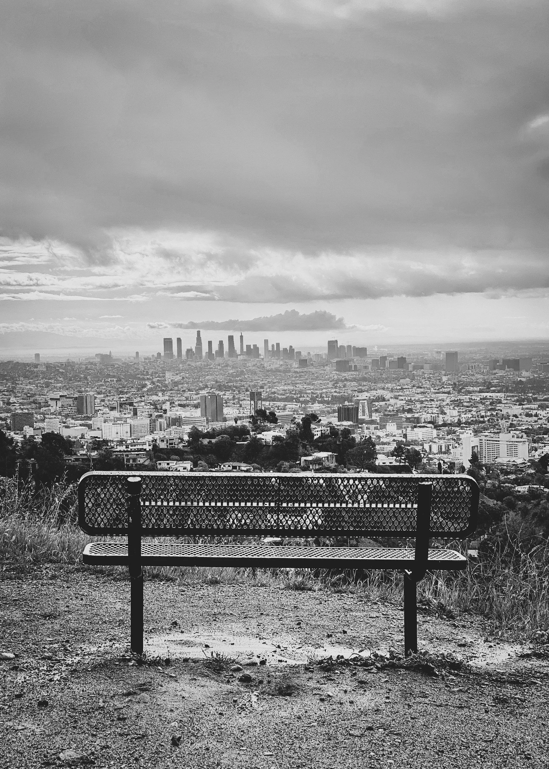 Empathy as a Tool for Healing Generational Trauma in the Wake of Wildfire Devastation