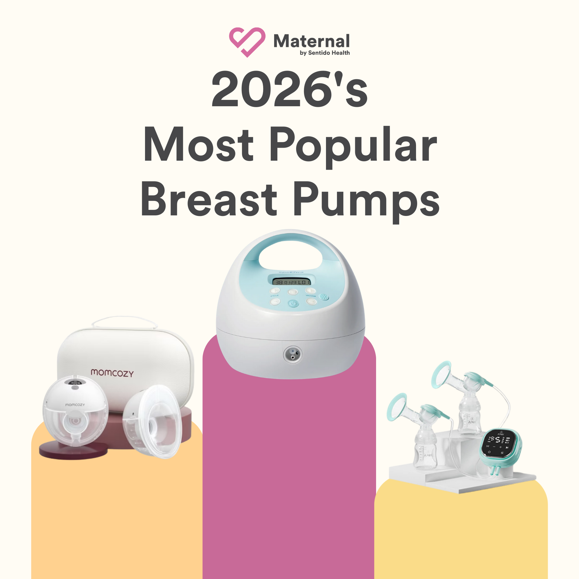 Best Breast Pumps of 2026&nbsp;
