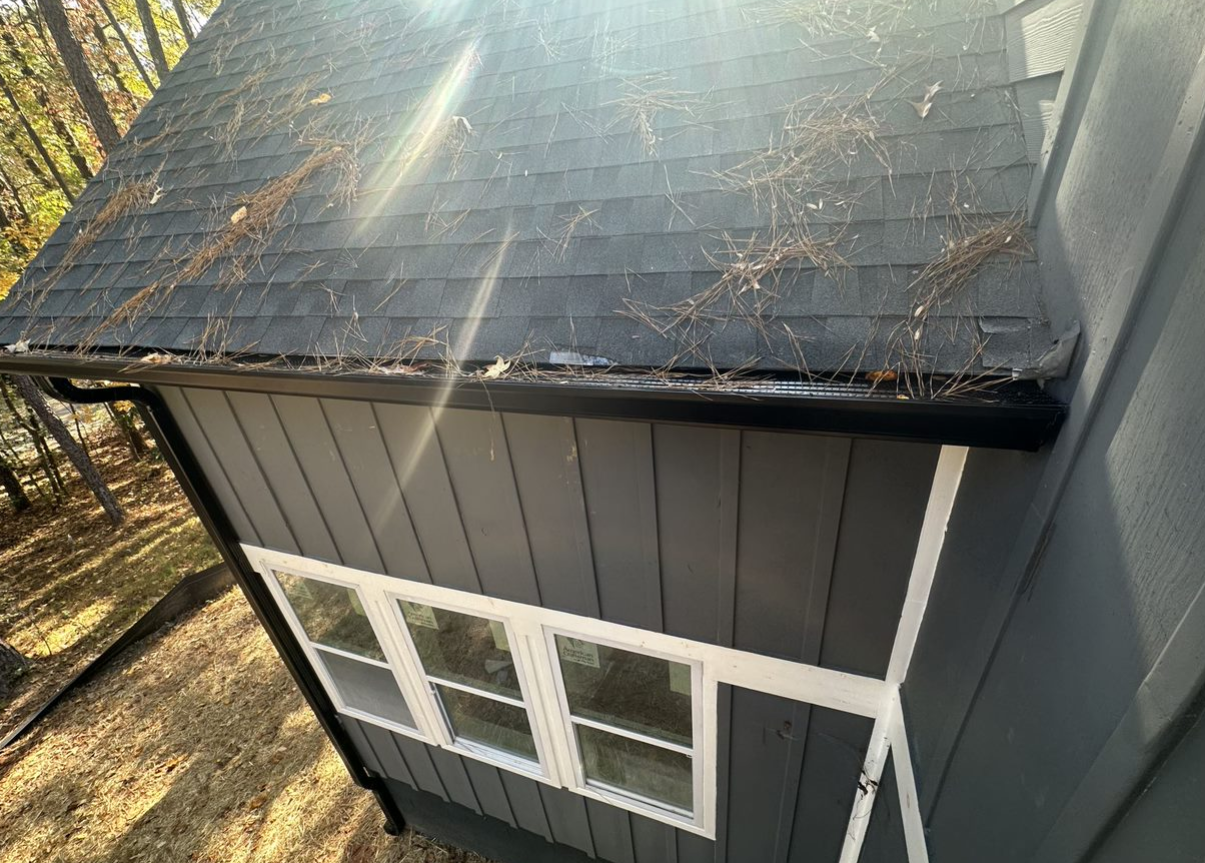 Why Regular Gutter Cleaning is Essential for Jackson Homeowners