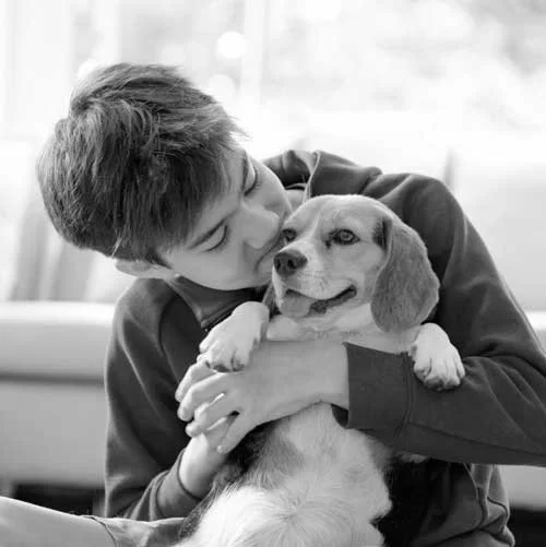 A young boy hugging a Beagle dog, receiving Adaptive Skills training for kids with autism in California