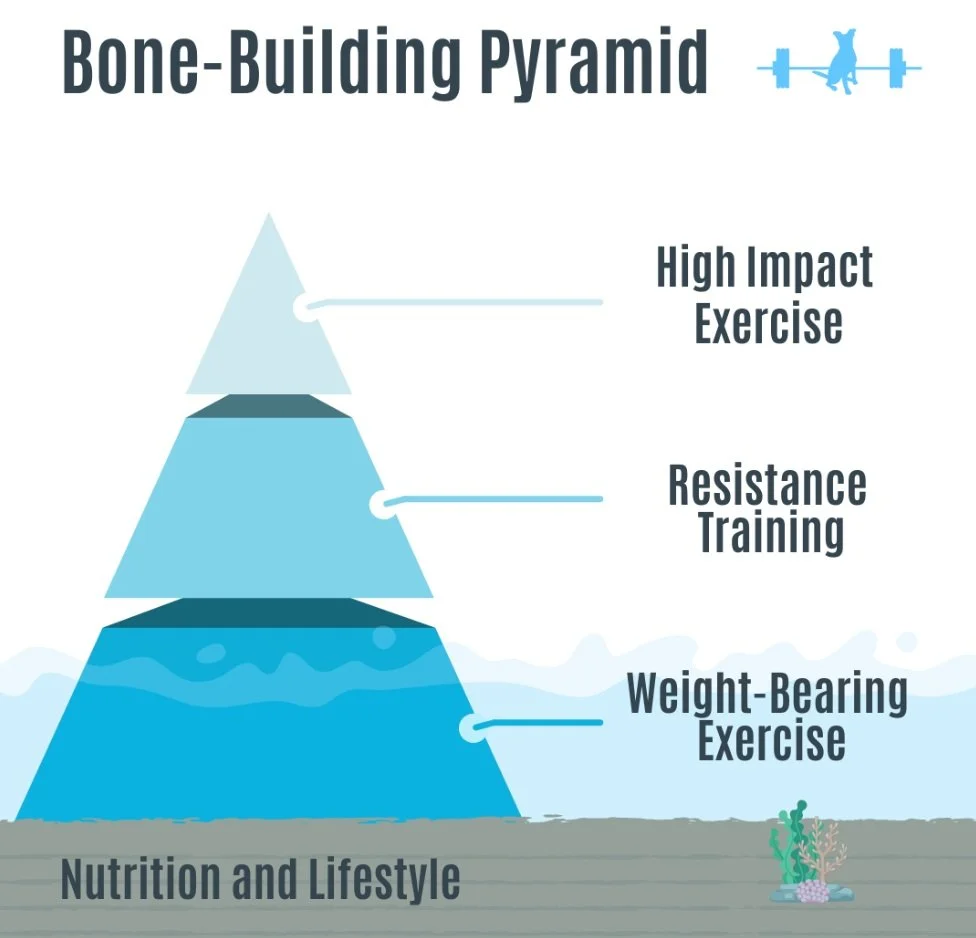 A Practical Guide to Strengthening Bones Through Exercise 2 Screenshot+2024 12 05+at+3.37.16+PM