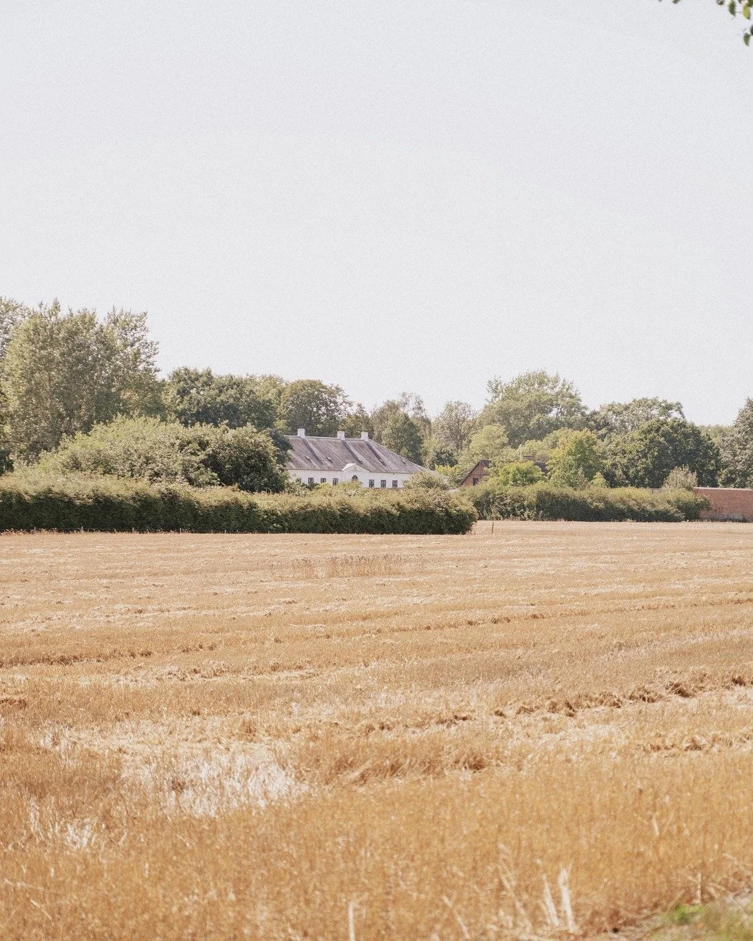 B&aelig;redygtighed og bevaring er en integreret del af alle beslutninger og tiltag p&aring; Agerup, lige fra den m&aring;de vi vedligeholder og restaurerer hovedbygningen p&aring;, til den m&aring;de vi driver skov- og landbrug p&aring; 👨&zwj;🌾