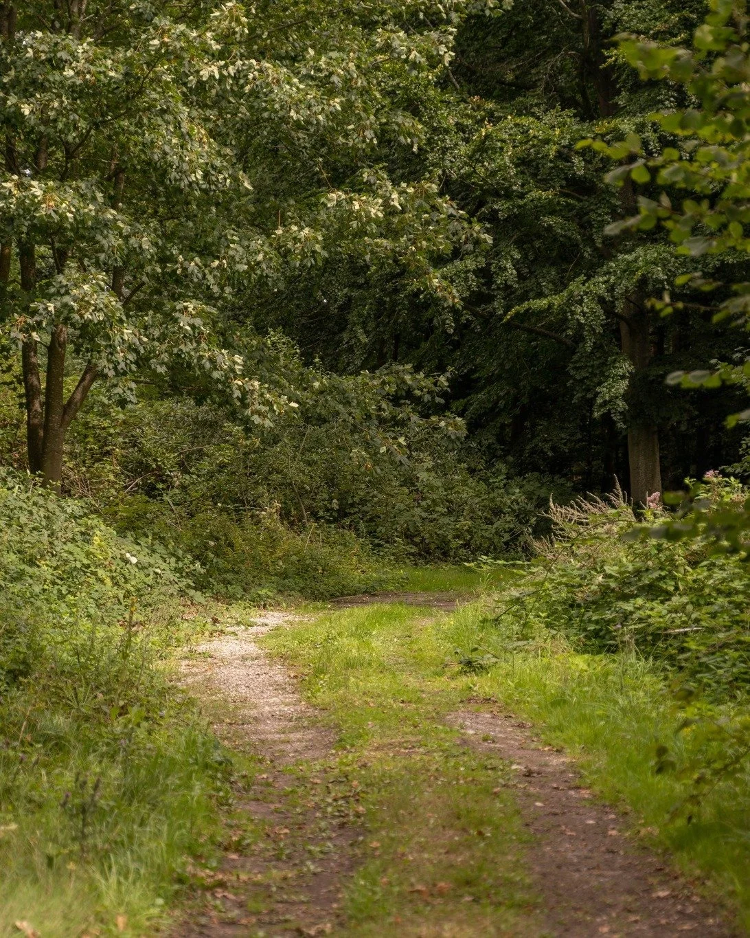 N&aring;r du st&aring;r ude ved skovkanten p&aring; Agerup, er det eneste du h&oslash;rer vinden i tr&aelig;erne og dine egne tanker.
Ingen st&oslash;j, ingen hast.
Bare ro og plads til at t&aelig;nke klart.

M&aring;ske er det derfor, s&aring; mange