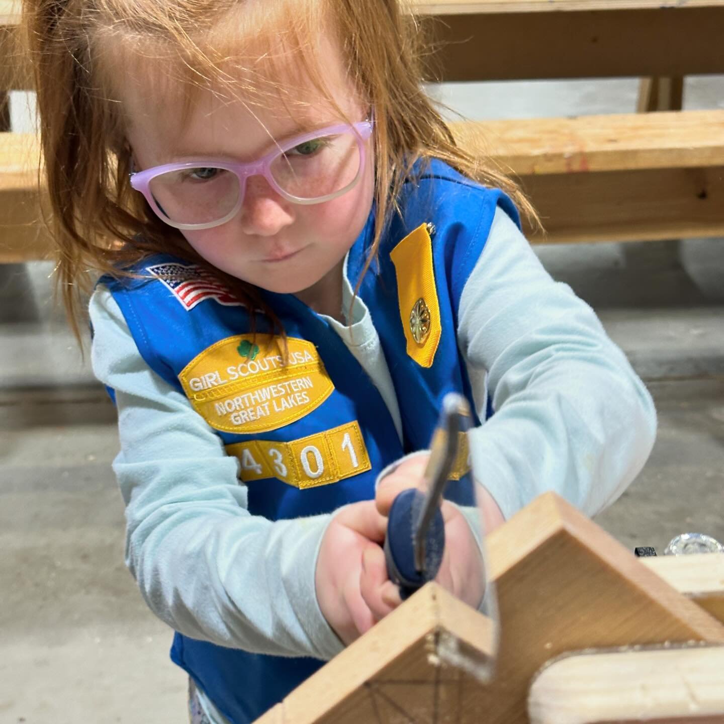 @girlscouts #brownies #woodworking #mechanicalskills #robinnestingbox #fullsteamahead