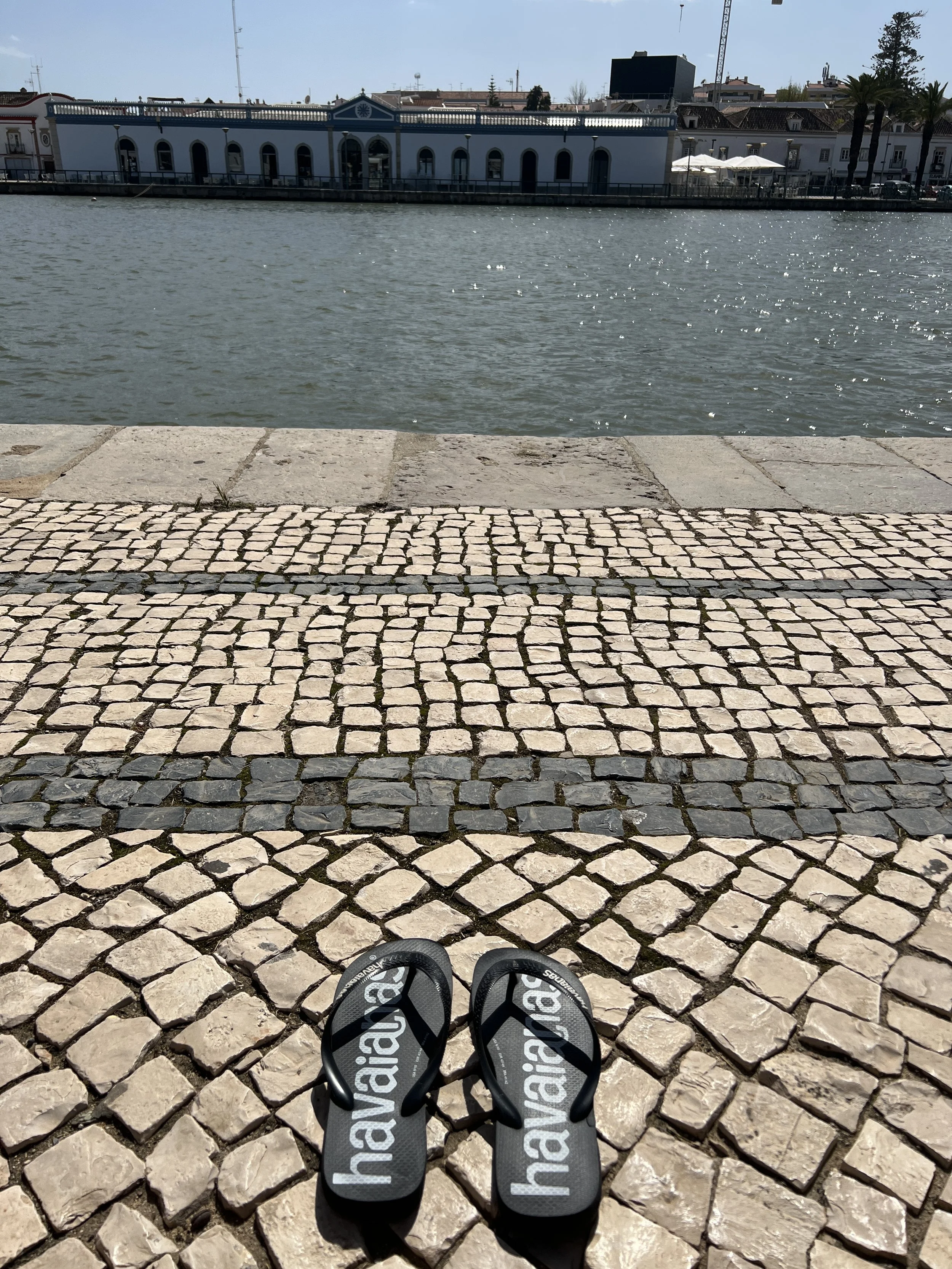 IMG_0213.jpeg