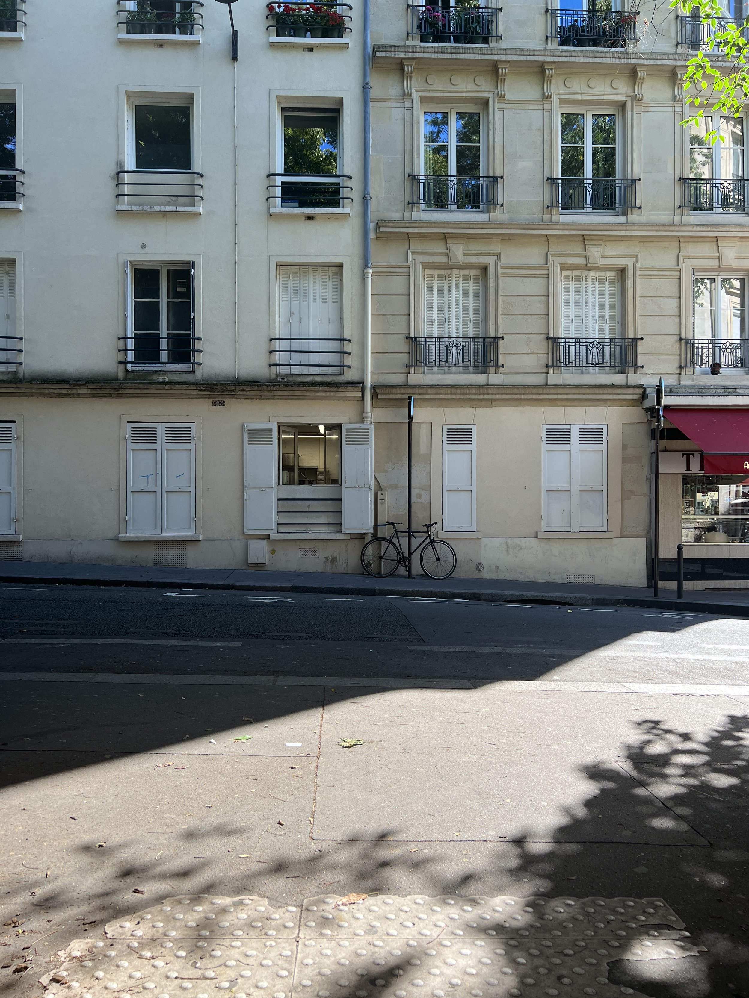 IMG_6602.jpeg