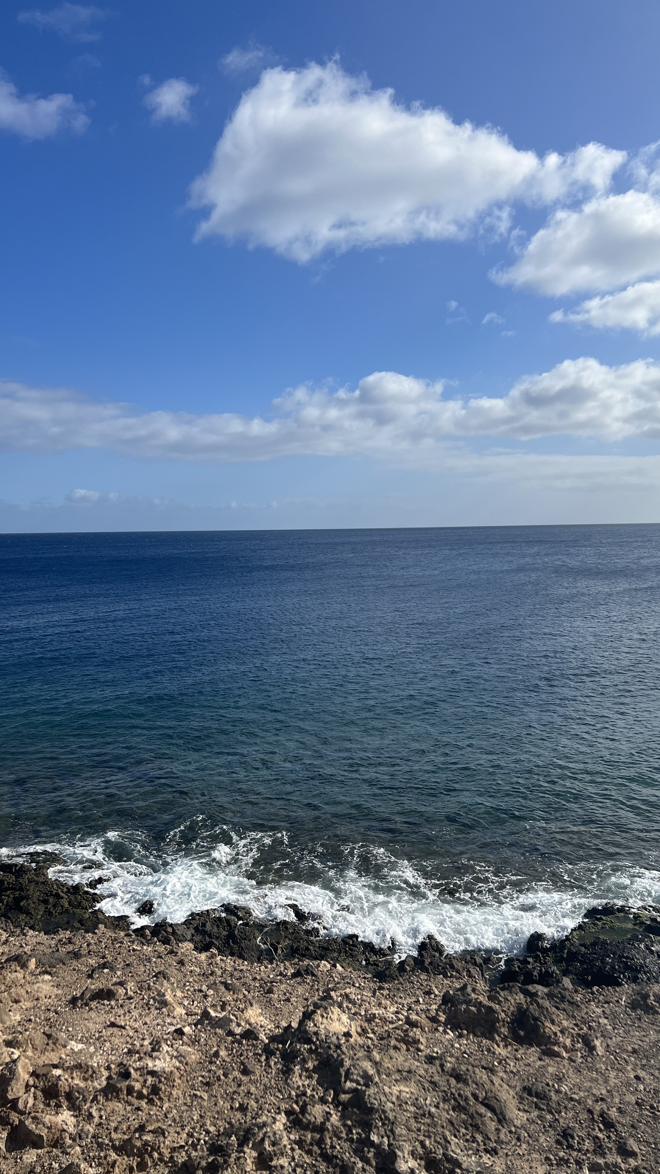 IMG_1240.jpeg
