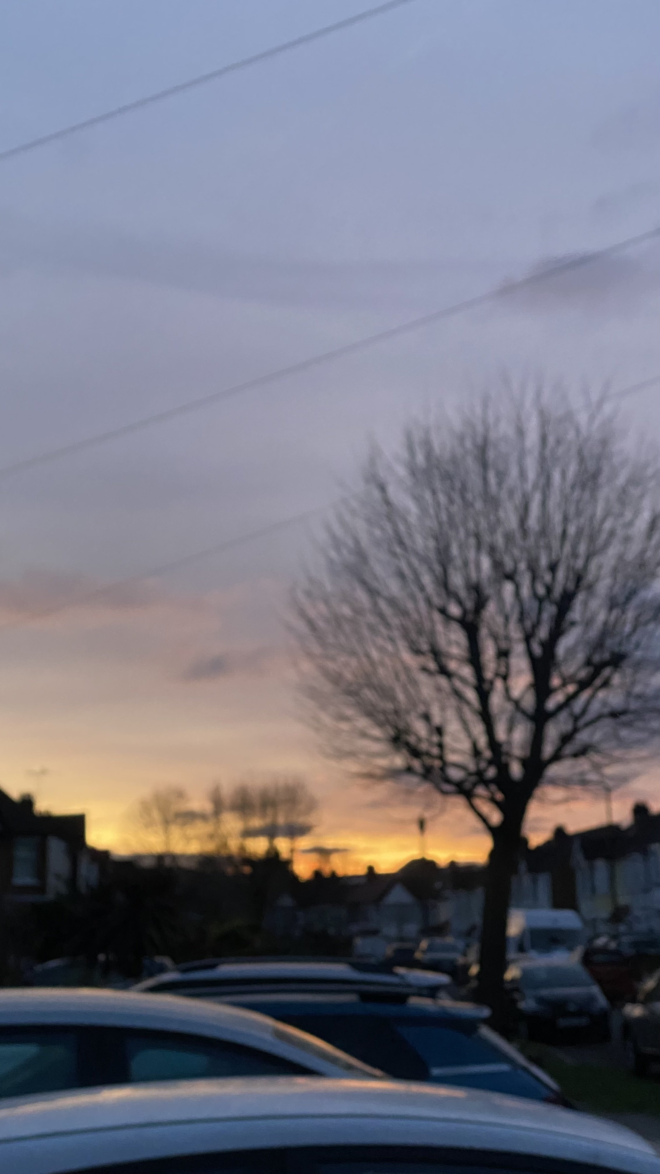 IMG_0271.jpeg