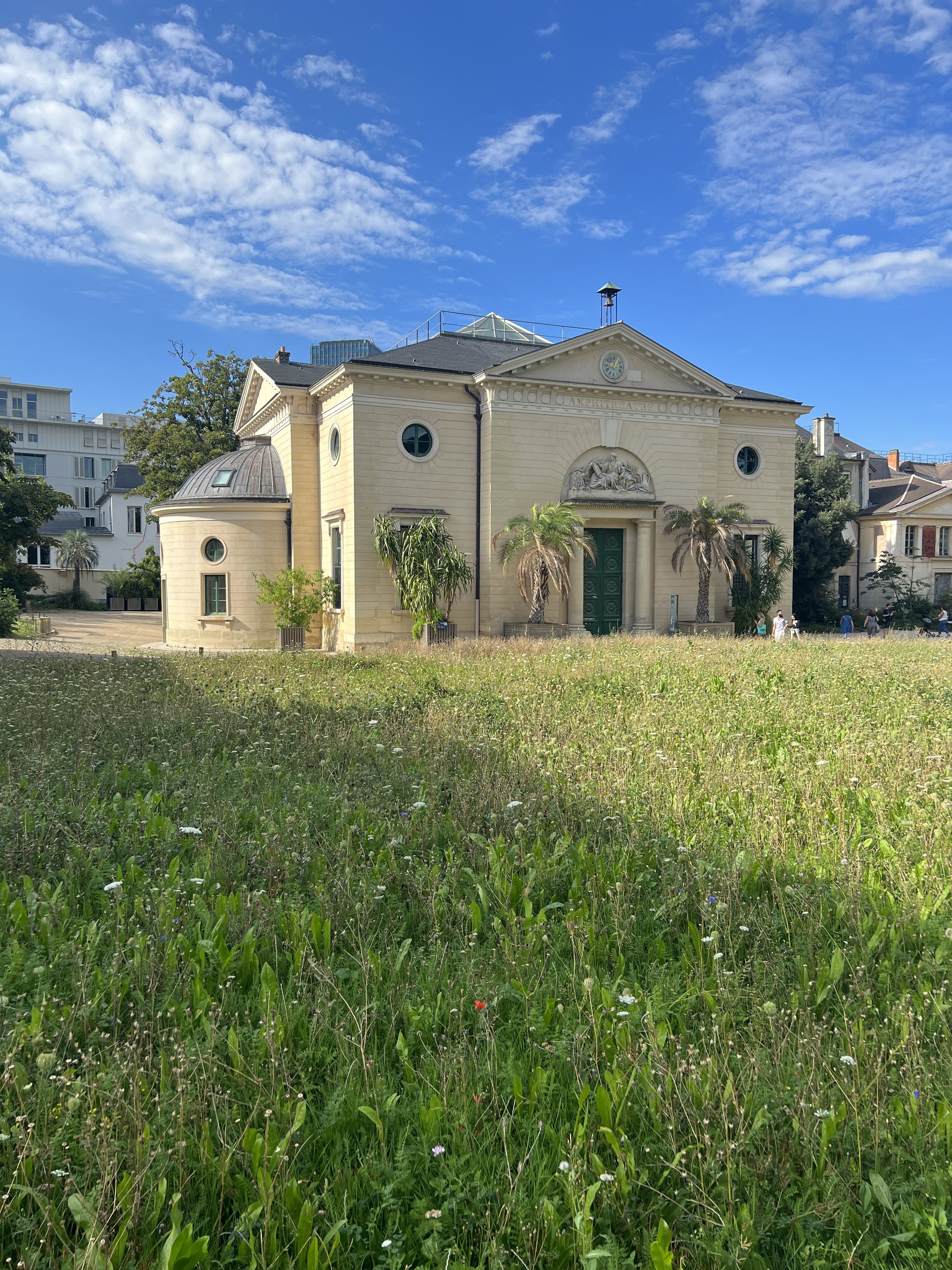 IMG_6615.jpeg