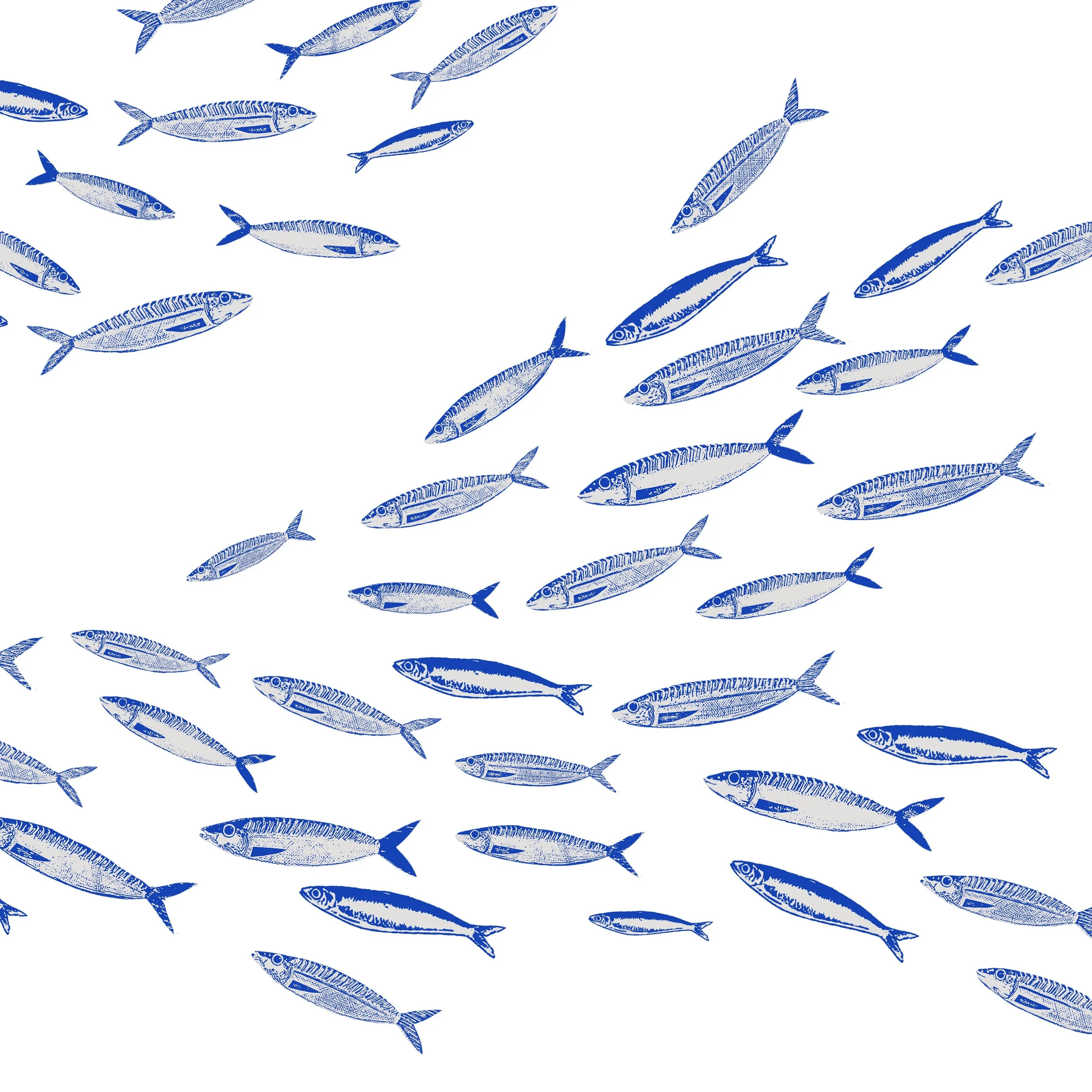 Sardines_CUSTOM MEMO_ R-DP1498-SWATCH SARDINE copy.jpg