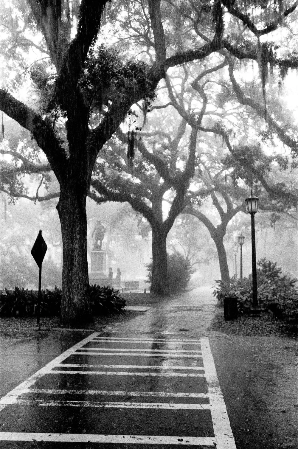 Frame shot on 35mm film — from the 35mm Film series