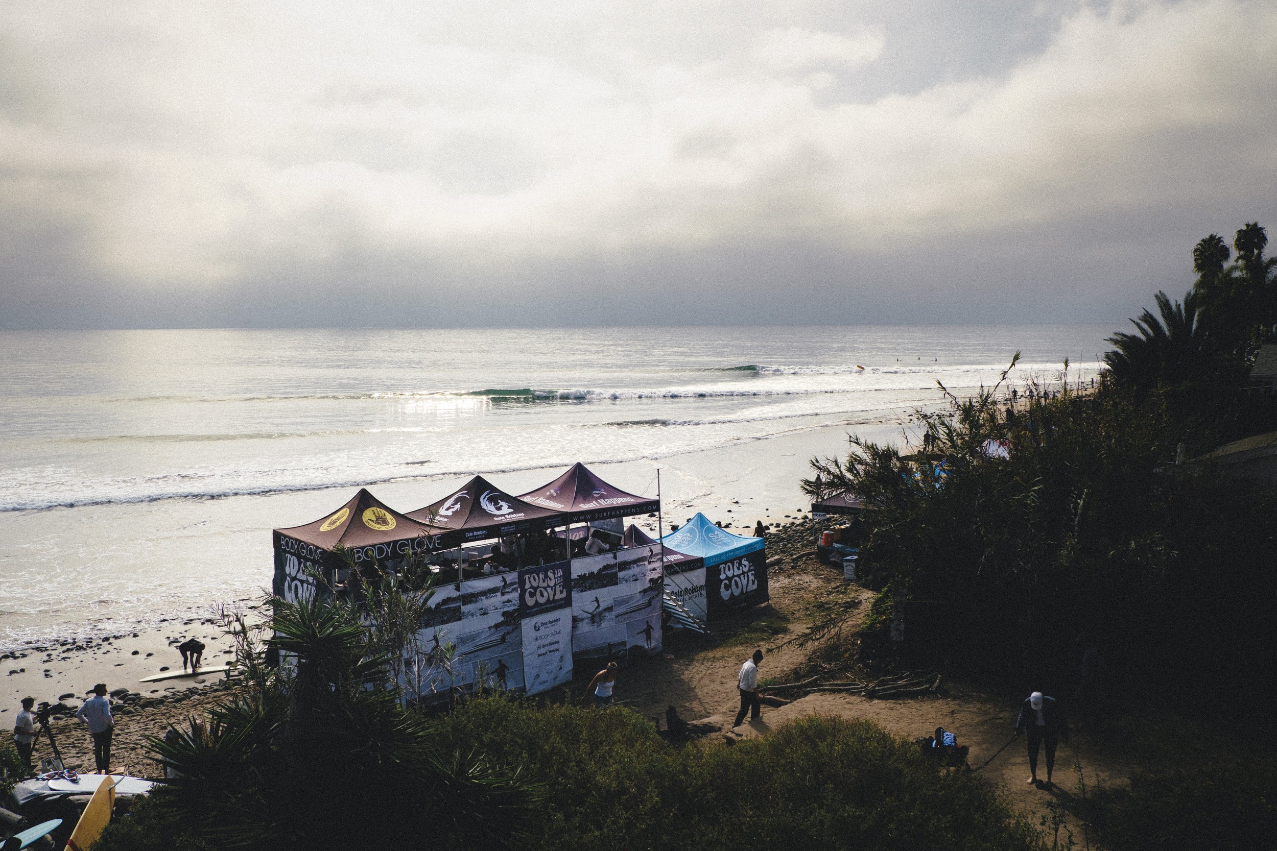 Toes in the Cove 2025_Quick Picks-1887.jpg