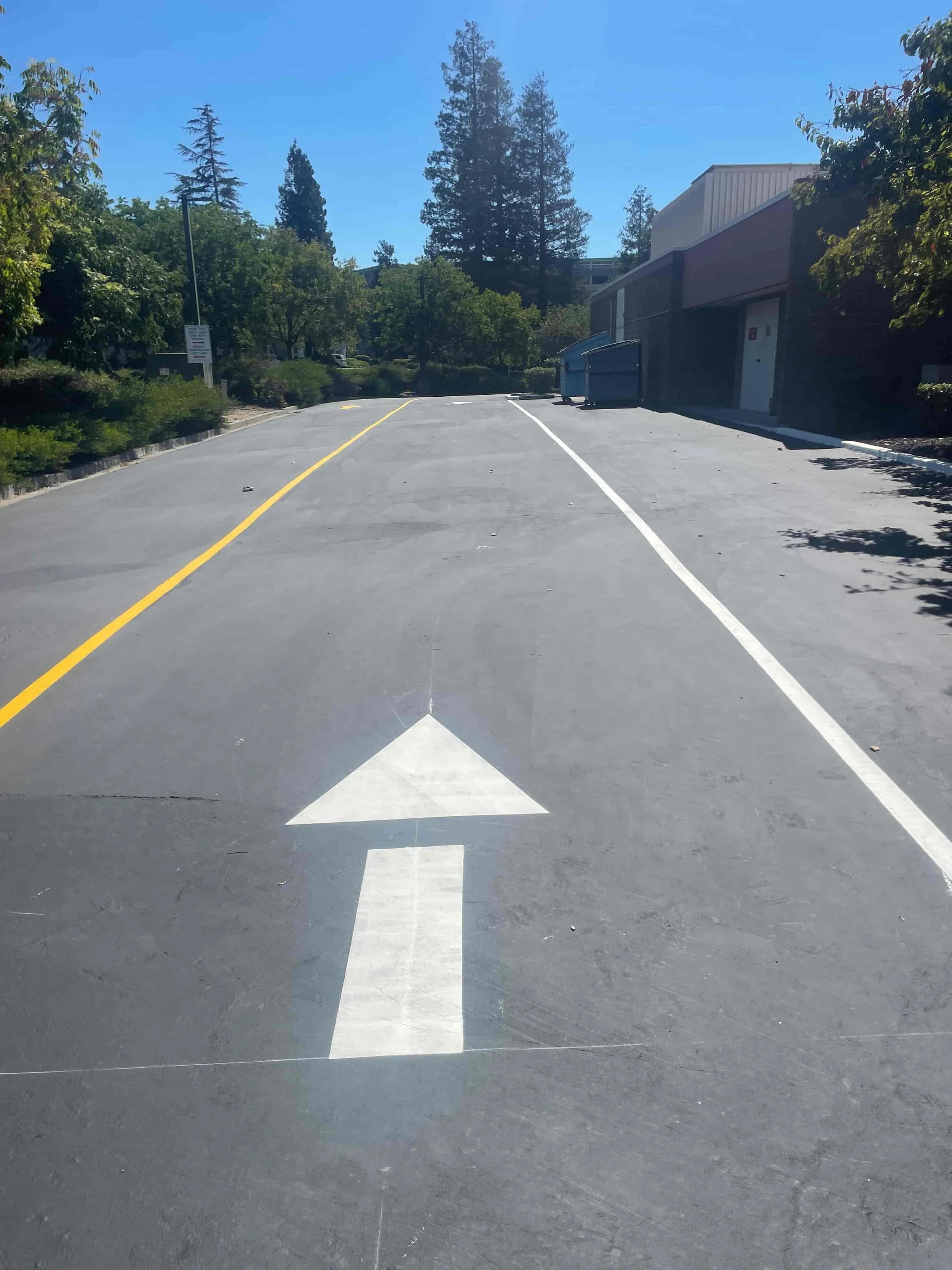 White arrow on a paved road with fresh striping Clovis, trees, building, and a blue dumpster under a clear sky.