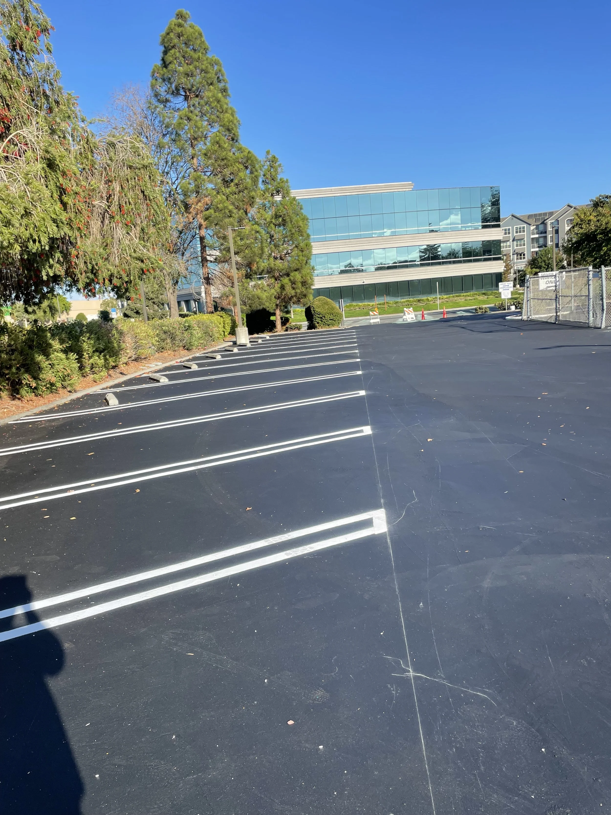 Empty parking lot with freshly painted parking space lines,