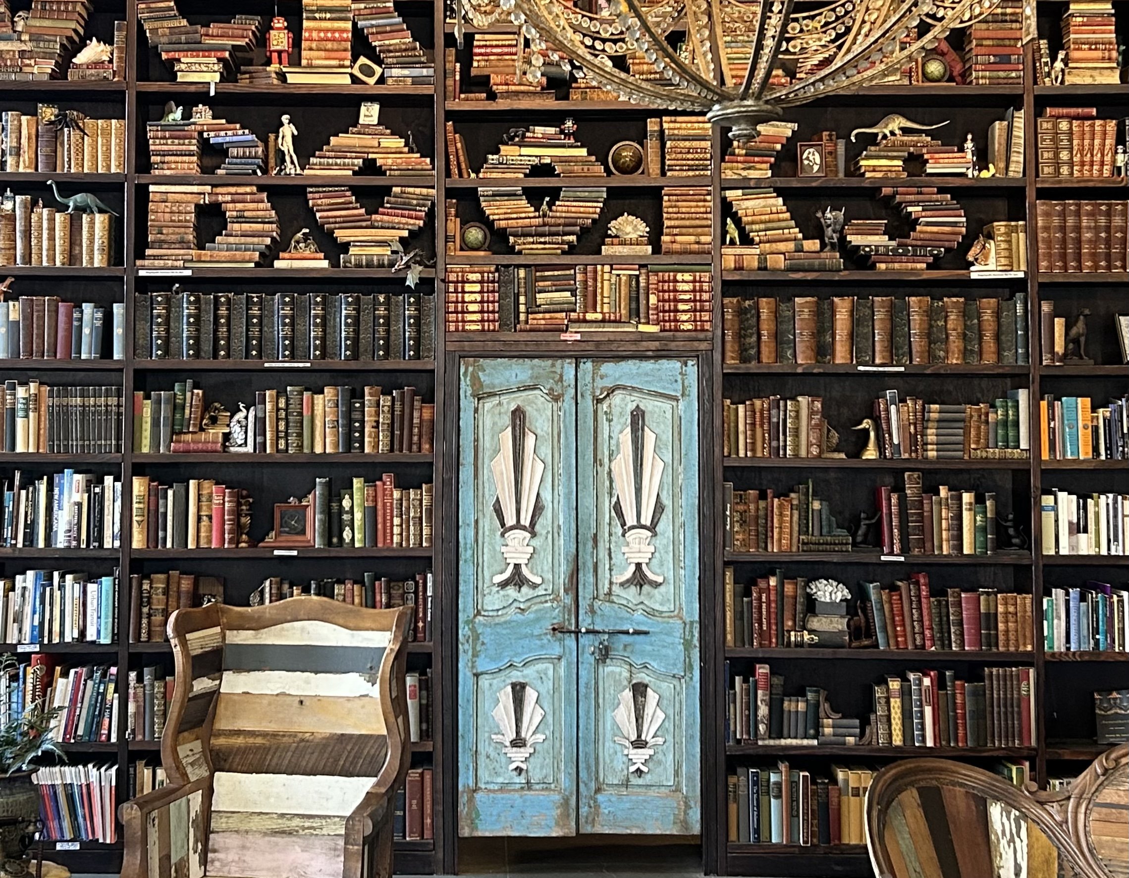 A Bookshop Bounty for the Mind and Senses