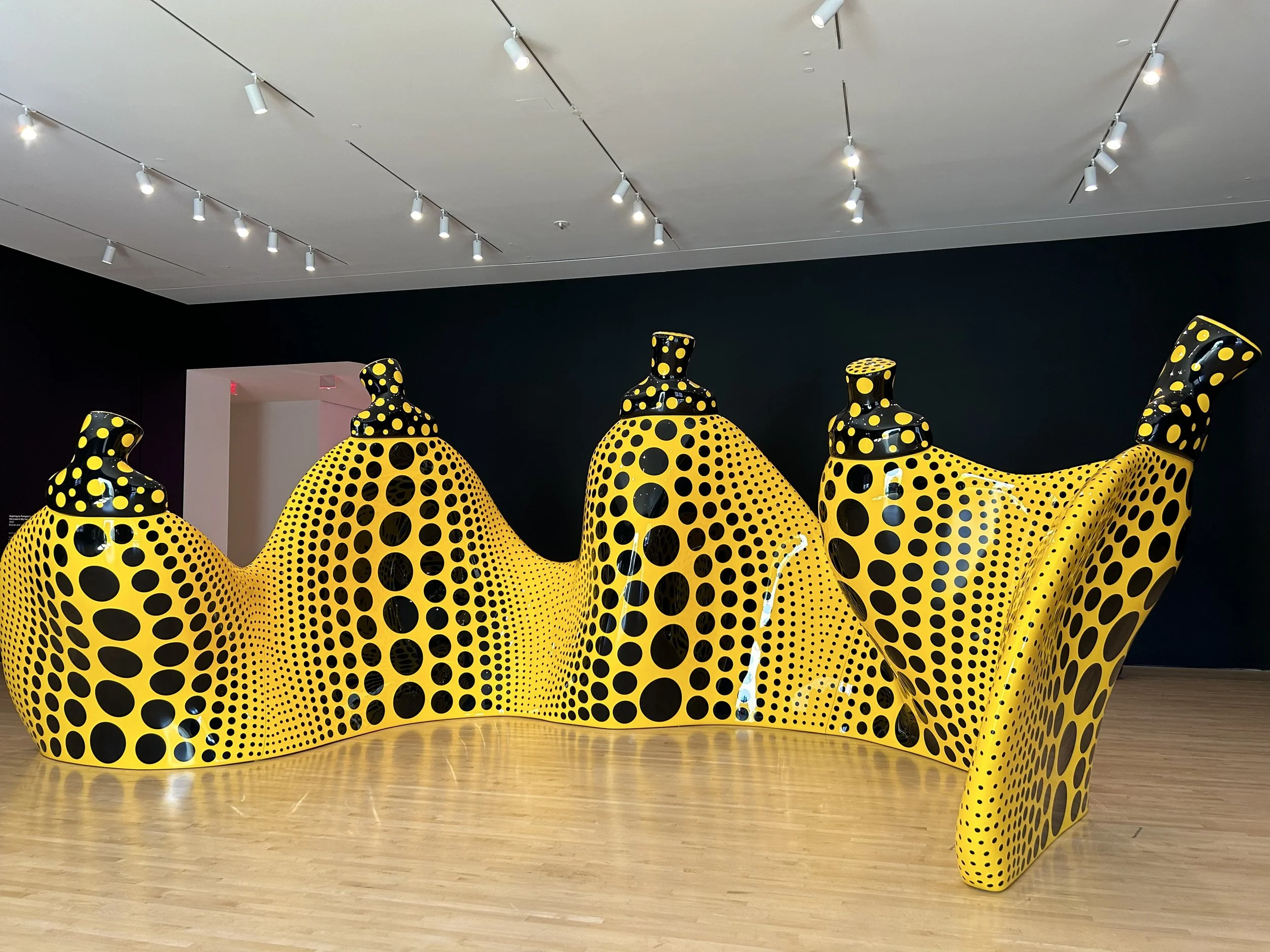 With Longevity and Vision, Kusama Inspires