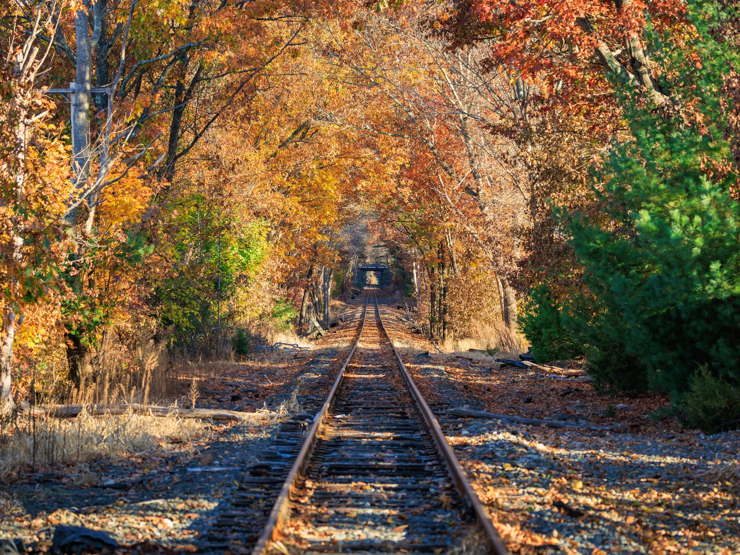6 - Autumn Tunnel of Industry
