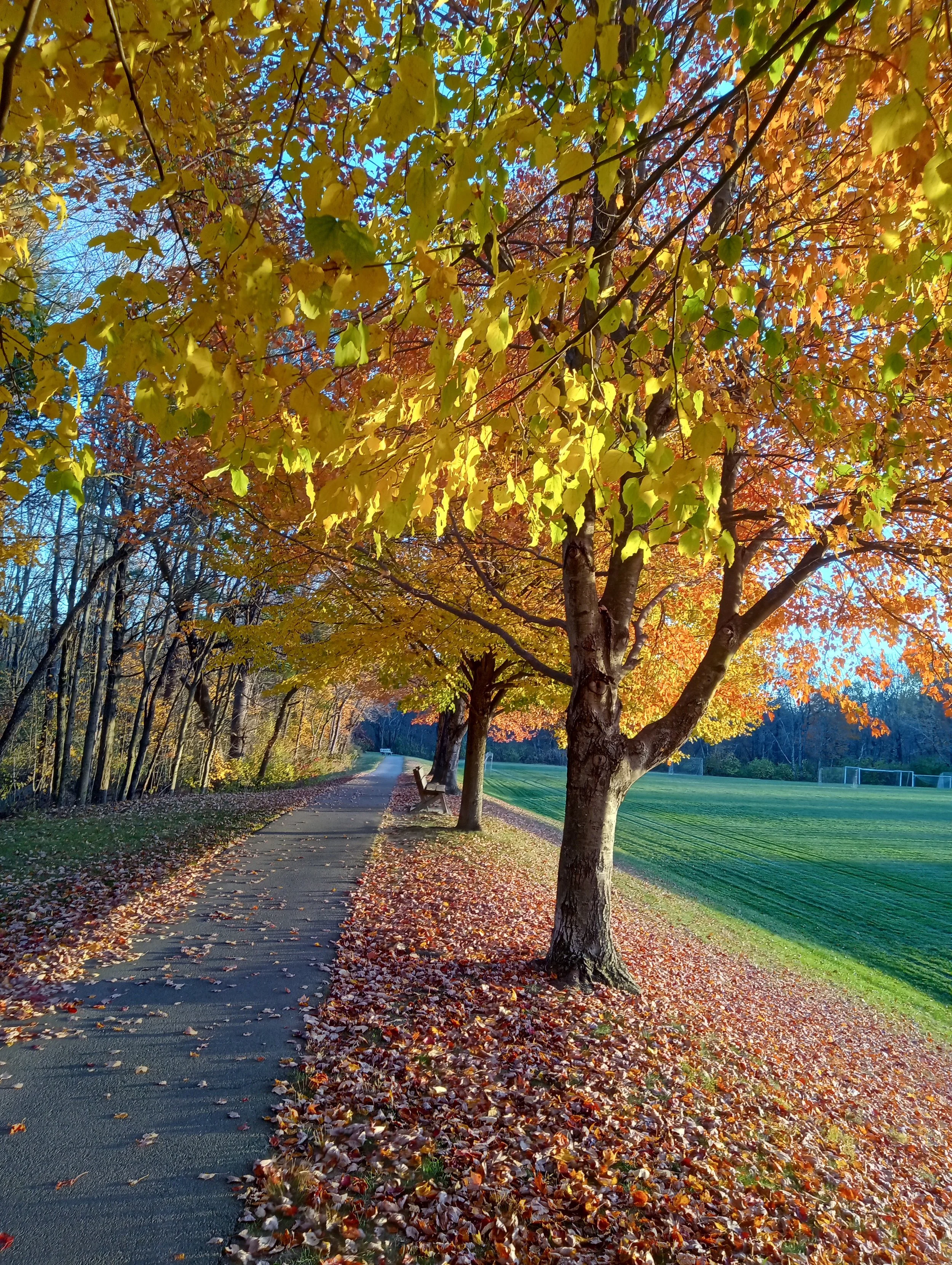 1 - A Beautiful Fall Day