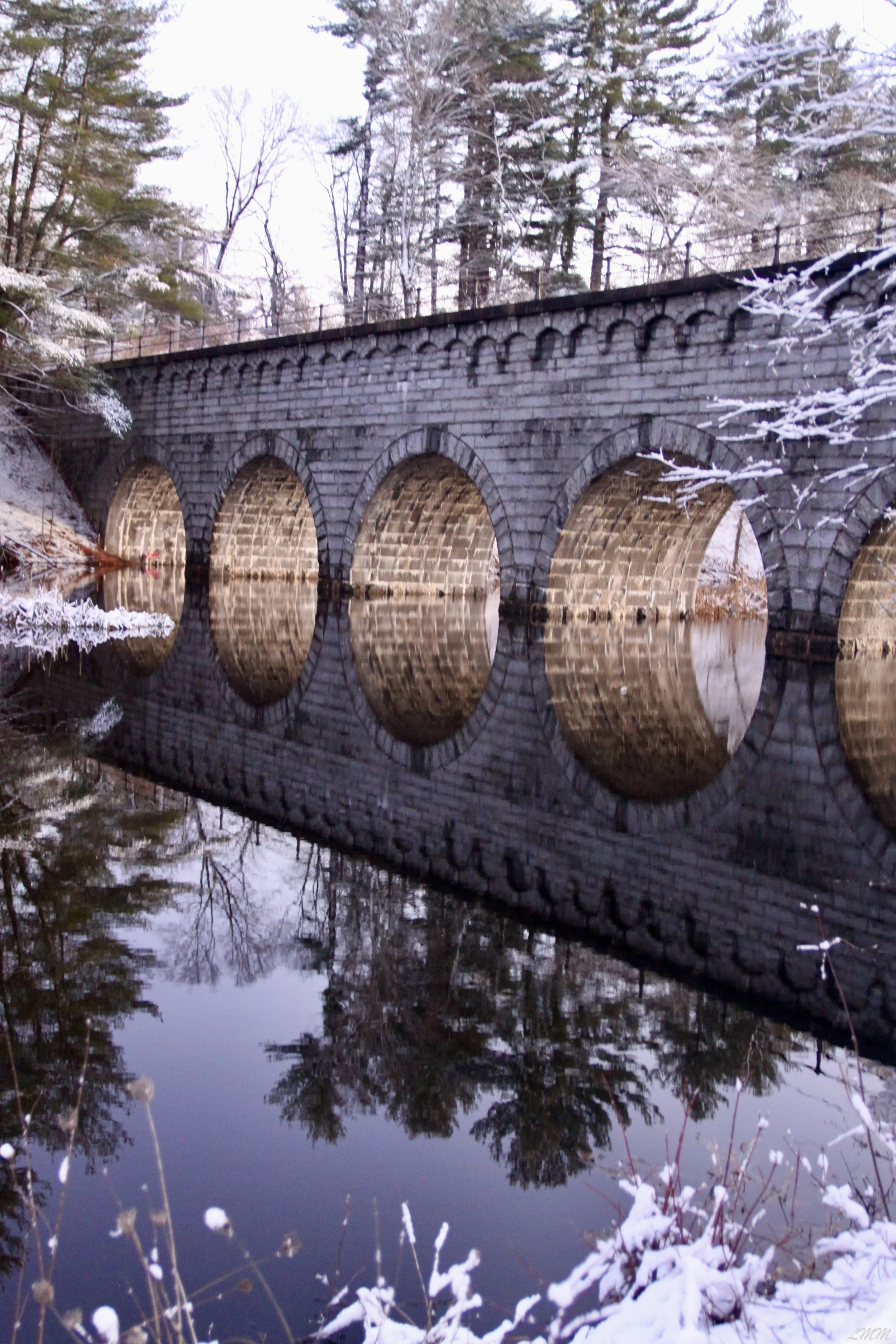 8 - Cool Reflections