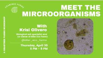 Meet the Microorganisms!