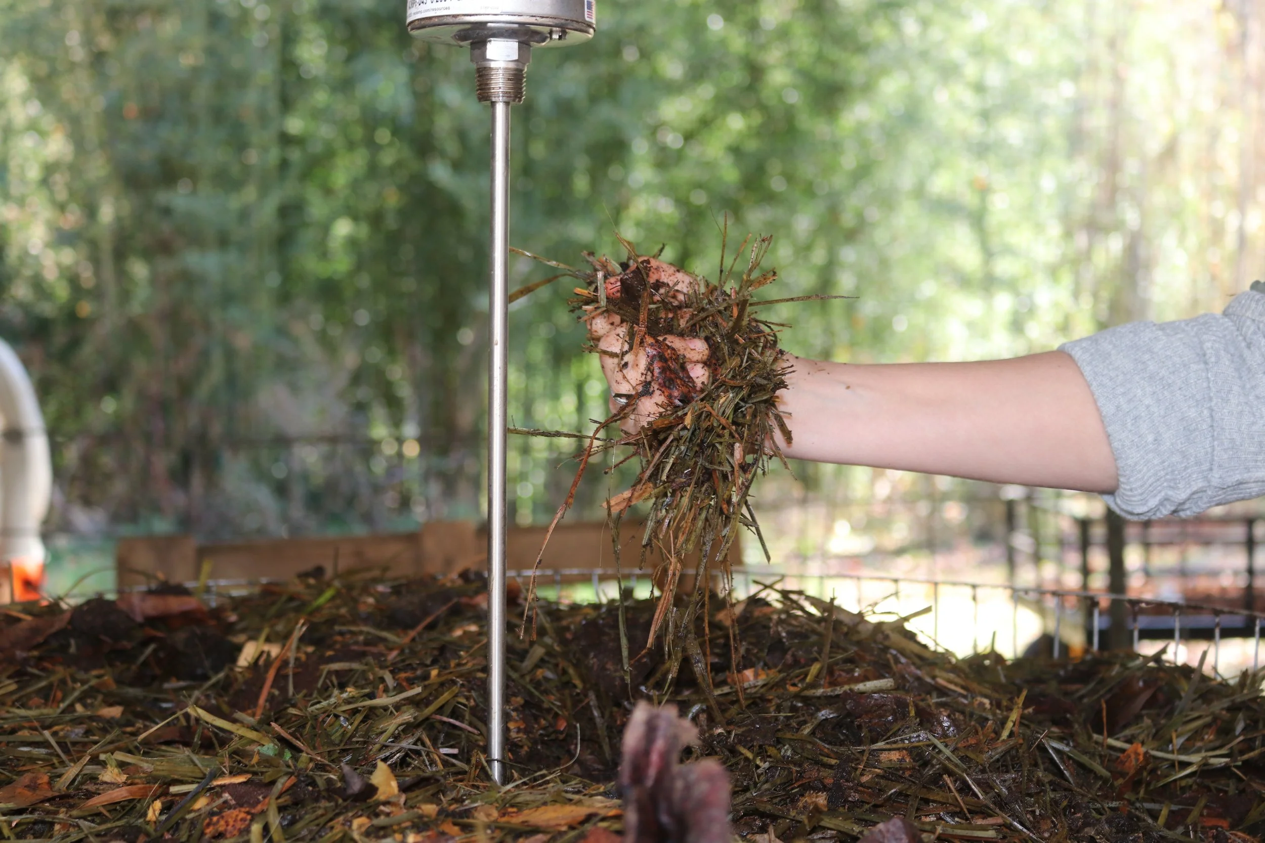 Compost Like A Pro 