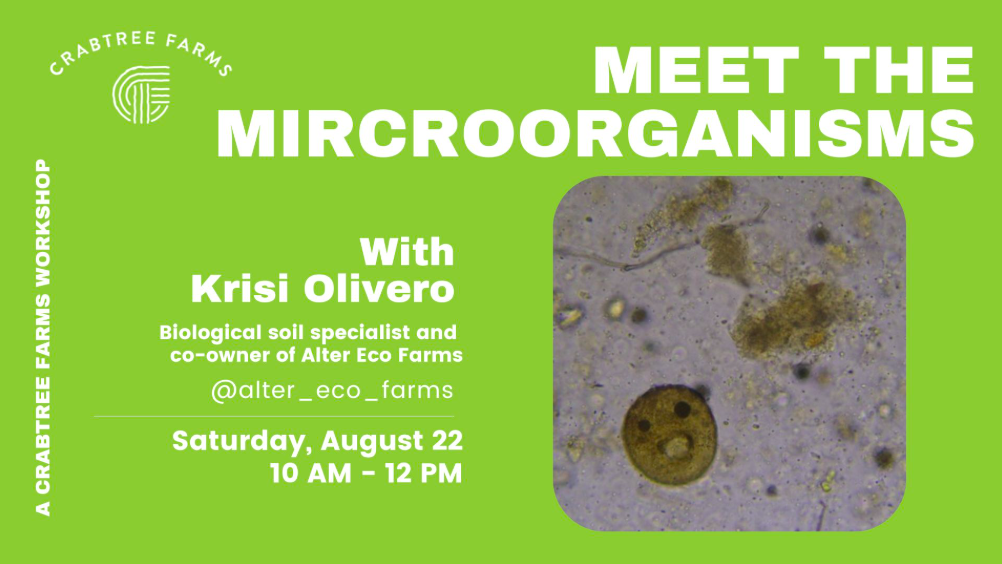 Meet the Microorganisms