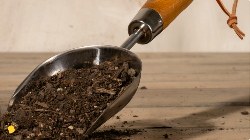 Garden Goals: Fall Into Better Soil