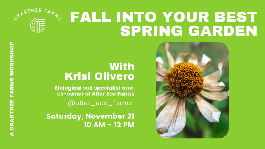 Fall Into Your Best Spring Garden