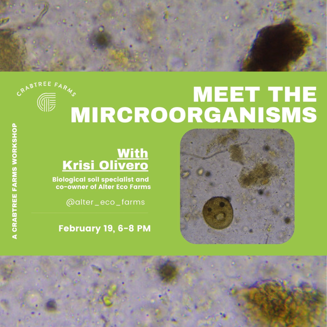Meet The Microorganisms - Spring Gardening Focus