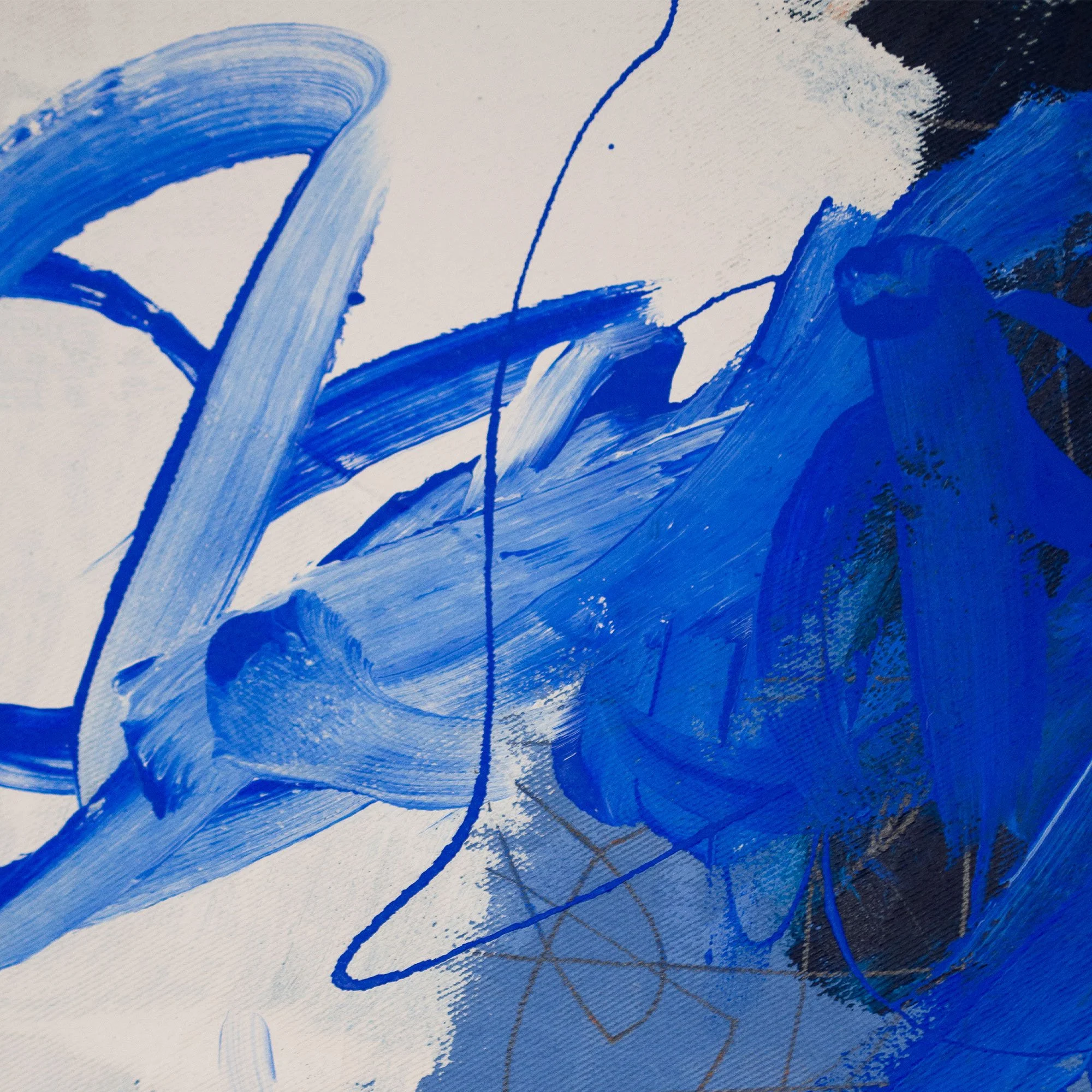 Blind-Spot-Julia-Rehme-Aia-Contemporary-A.jpg