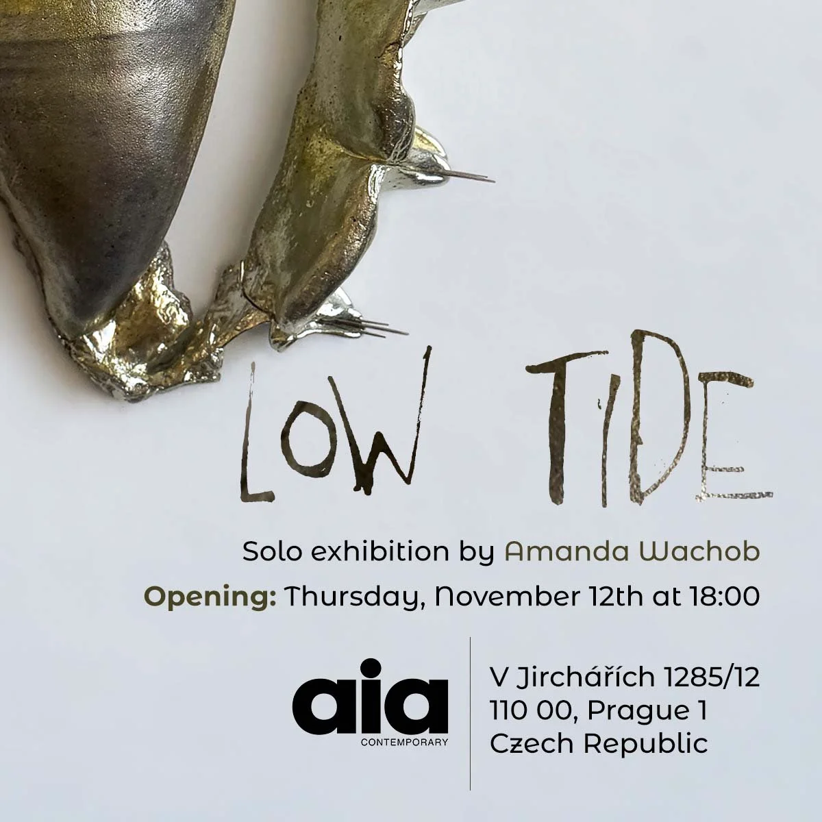 Low Tide - Amanda Wachob