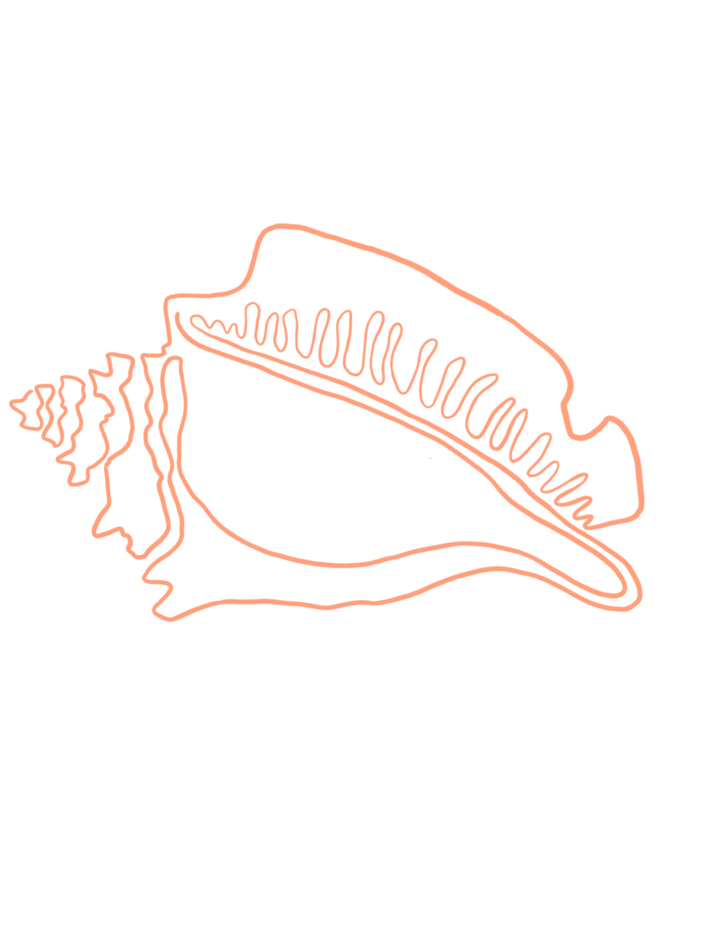 Pop Ups Events Conchita Studio pop-ups-events-conchita-studio