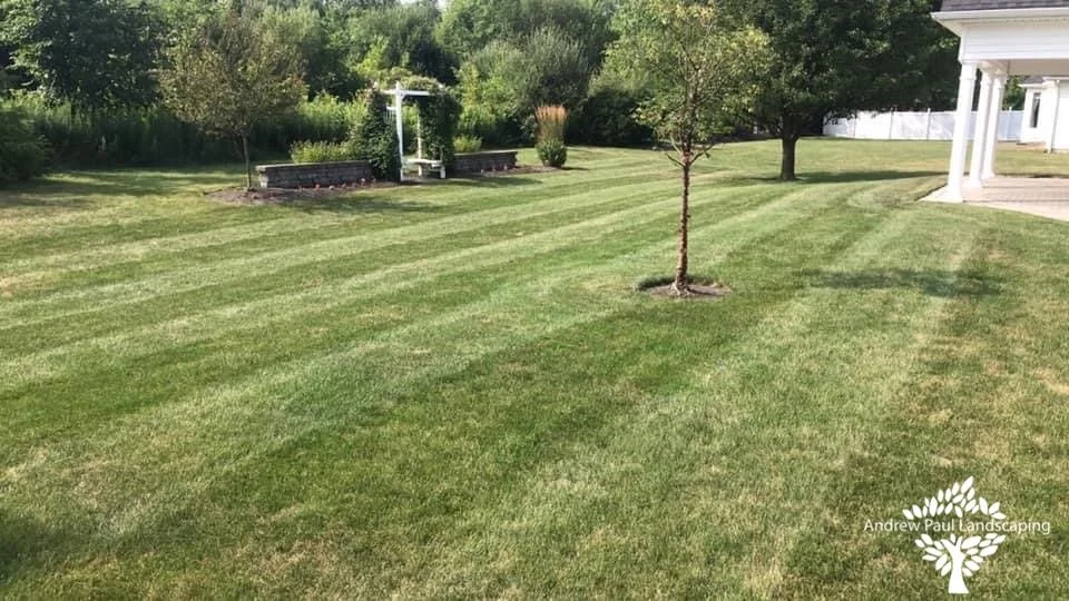 eZy Watermark_31-08-2023_02-59-12-0430PM.JPG