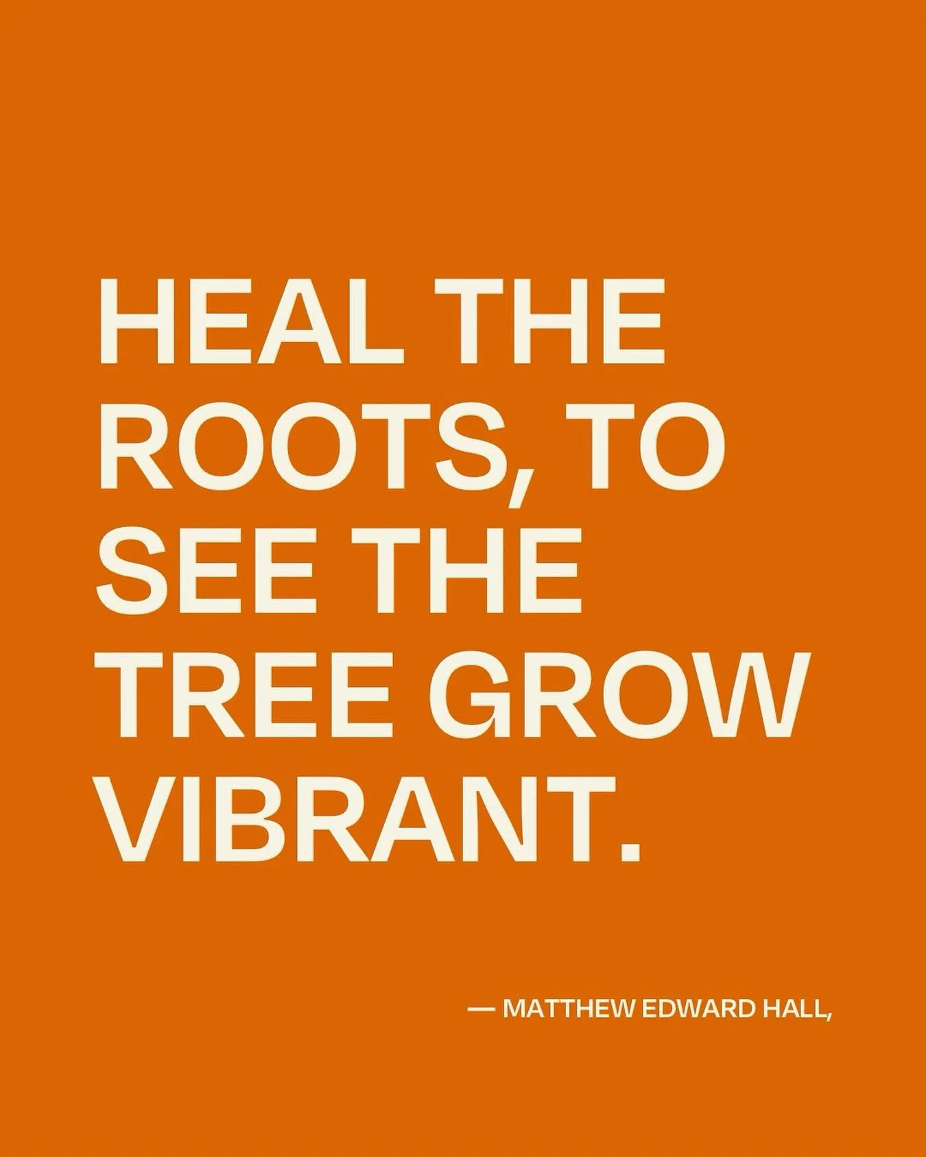 The lessons we can learn from nature and trees.

Have you ever seen a tree that&rsquo;s healthy, strong and able to withstand anything that gets thrown at it without deep, thriving roots? The tree&rsquo;s life depends on these roots. Healed, nourishe
