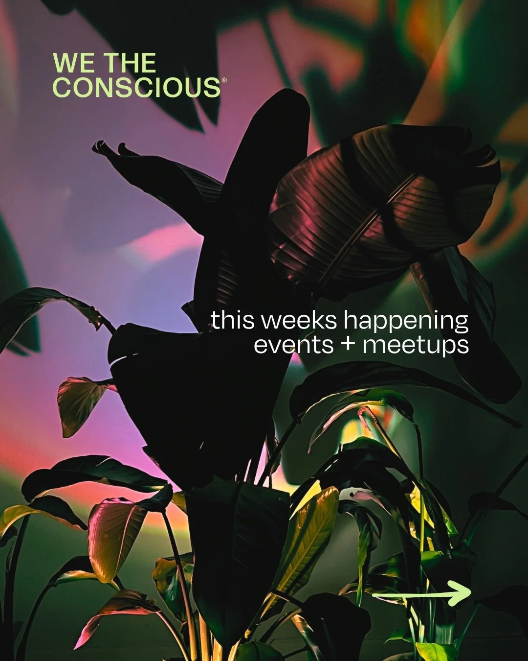 What&rsquo;s happening on the event and workshop front at the studio this week? 

We have planned events that connect you to the full spectrum of this wonderful human experience we&rsquo;re part of. 

Sensuality, Breathwork, Kundalini, Sound, Reiki, 