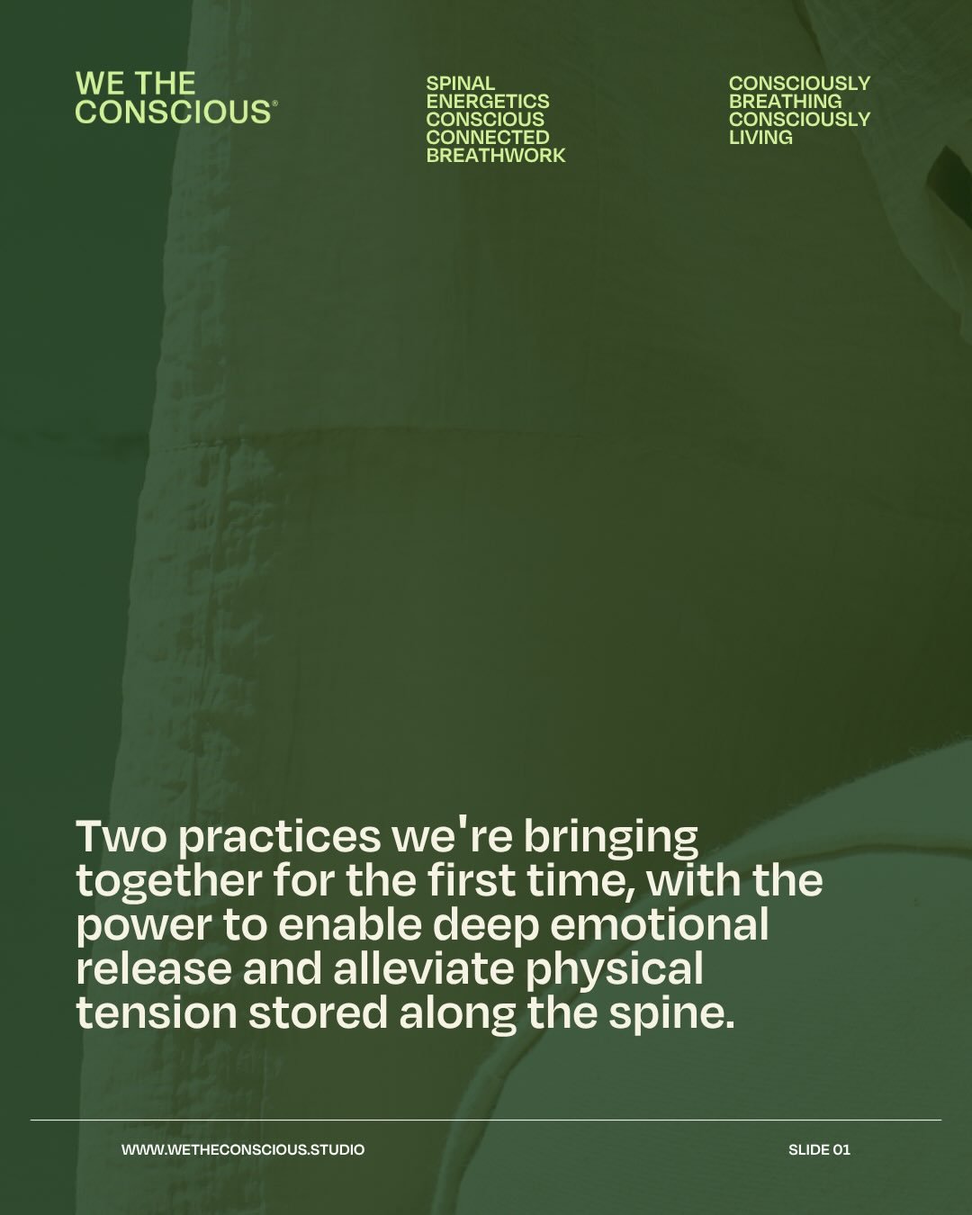 When I first tried Spinal Energetics with @myllrmodernhealing I was blown away. How can we access what in the body through the spine. We&rsquo;ve been behind the scenes creating something phenomenal that brings both our passions into one event. 

Ves