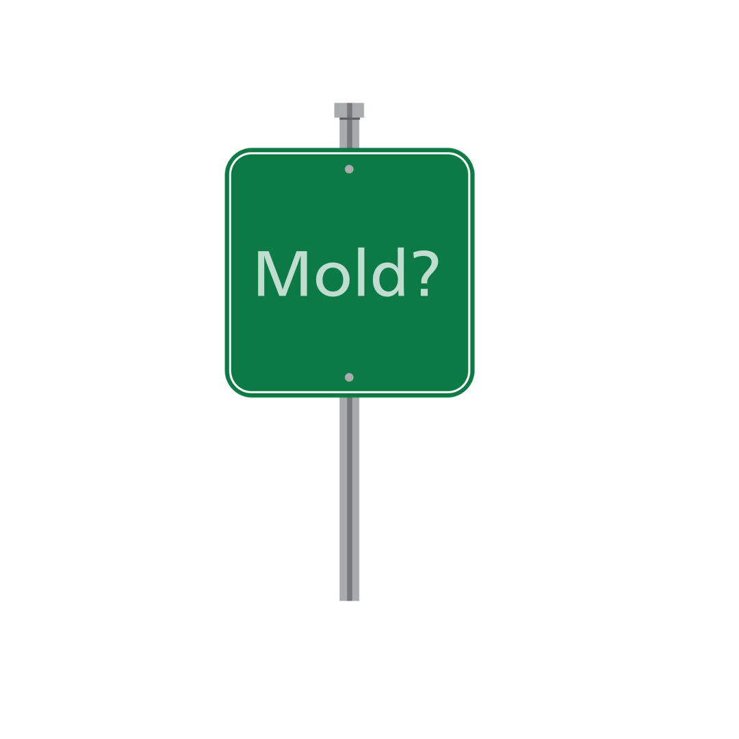 Birmingham, AL Owned | Expert Mold and Water Remediation Services: Your ...