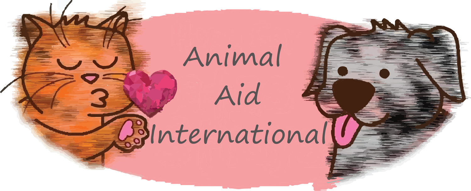 Animal Aid International