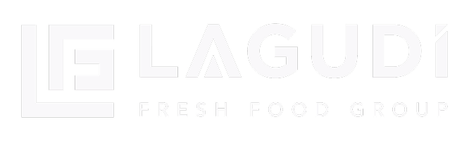 LagudiLOGO.png
