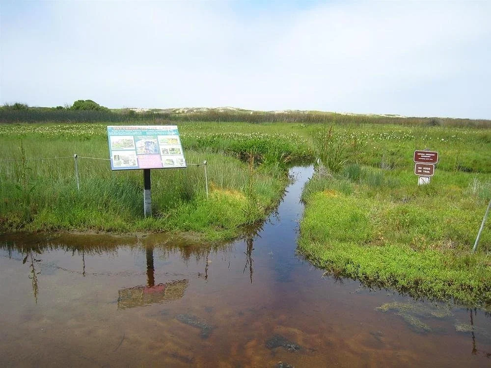 Santa Clara River Estuary Restoration Project — Wishtoyo Chumash Foundation