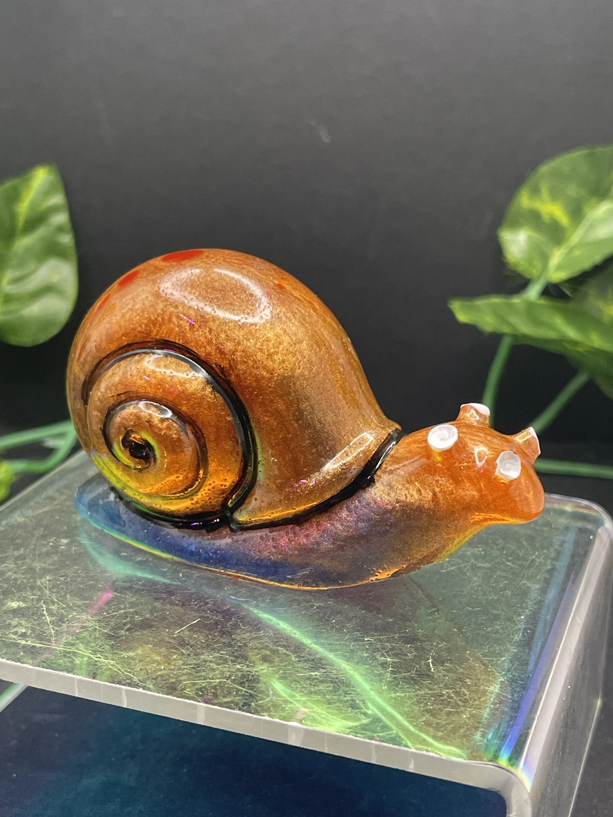 Snail