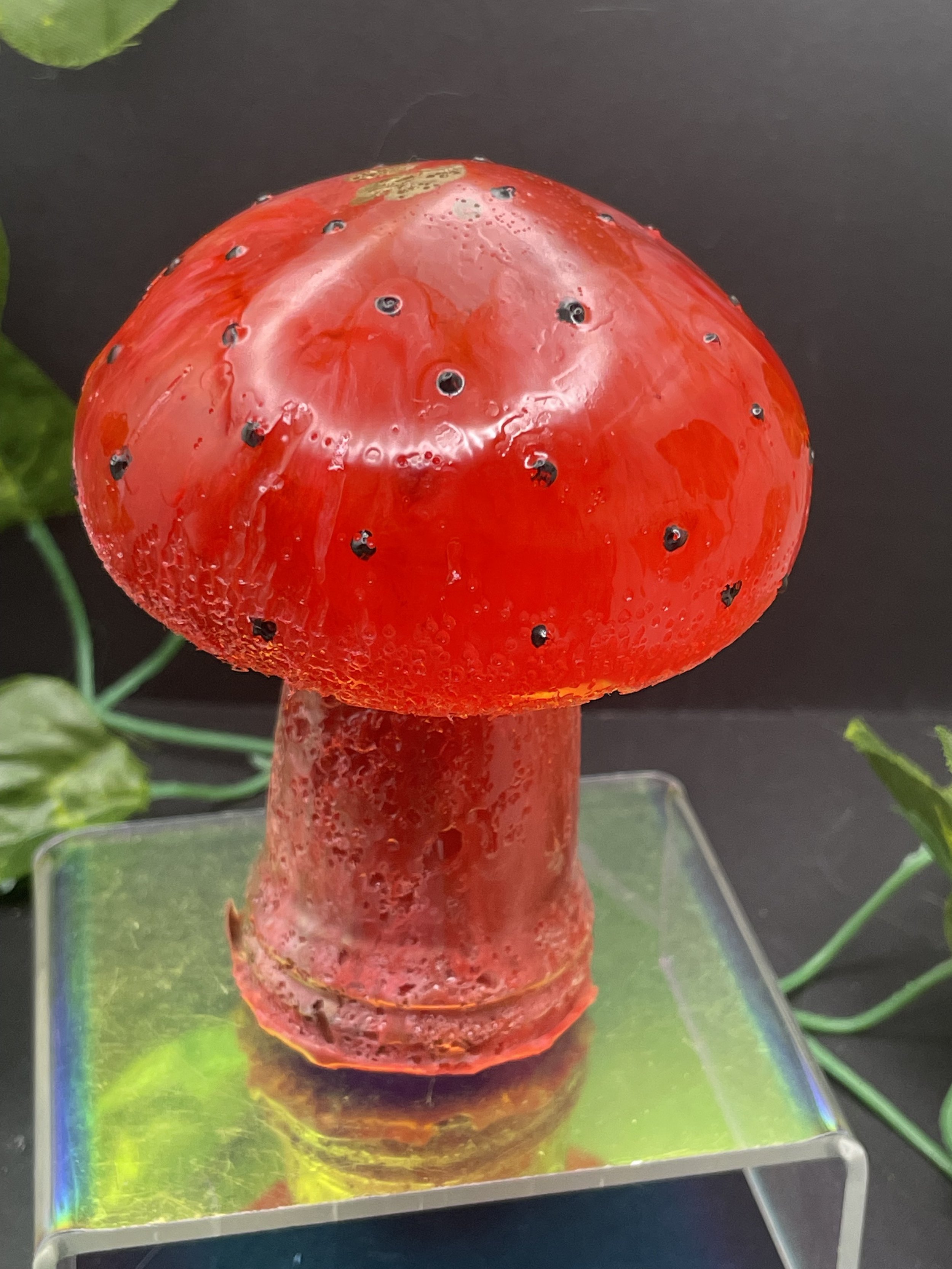 Tall Toadstool