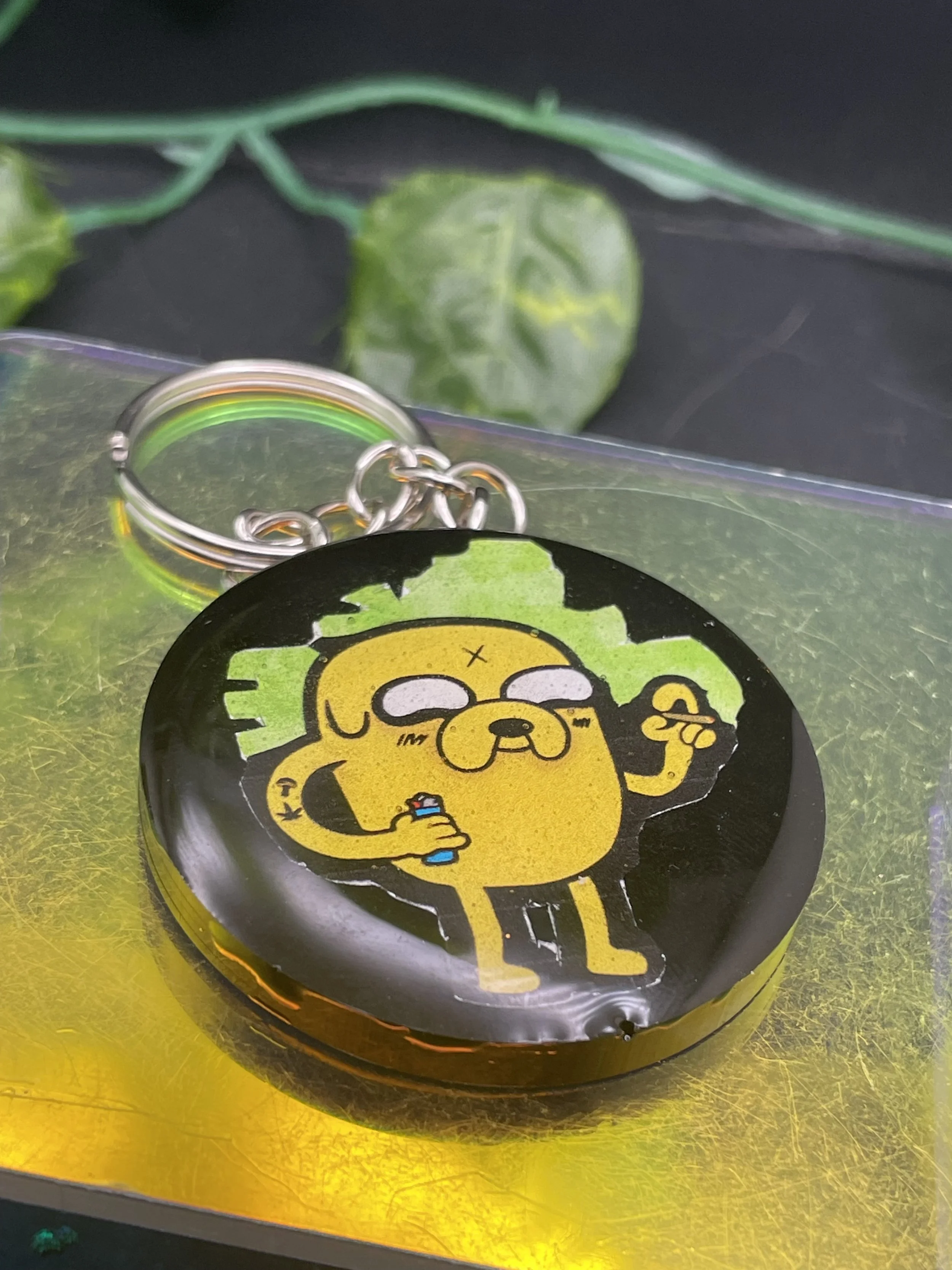 Jake's Adventure