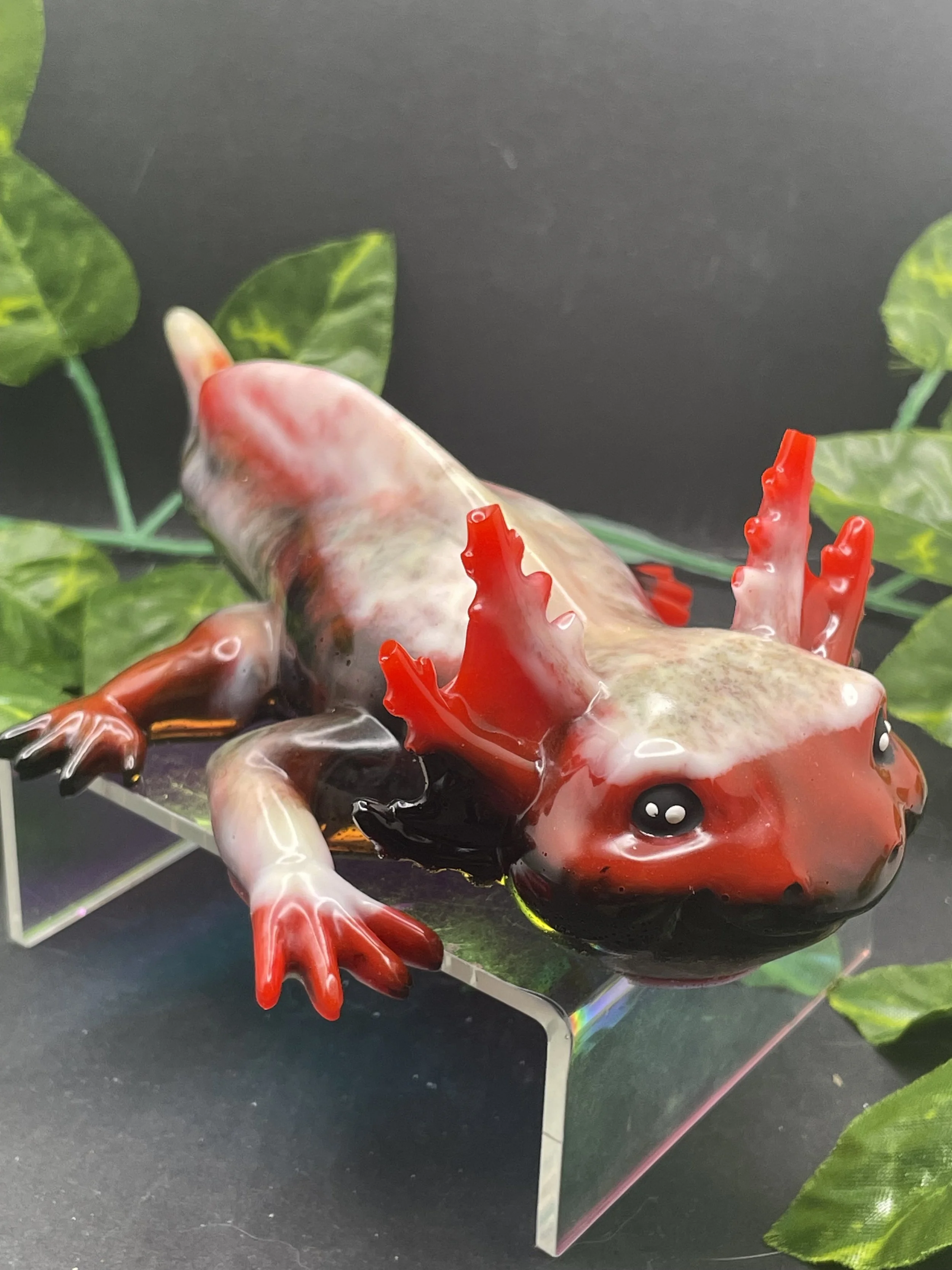Axolotl
